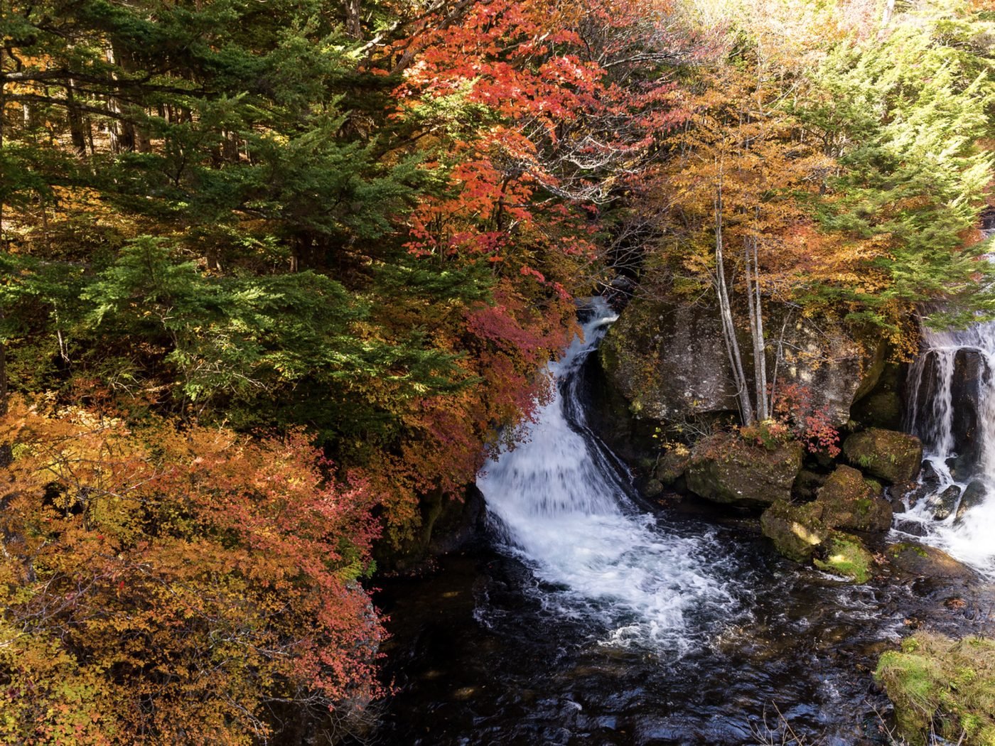 Red and gold autumn leaves around a waterfall in Nikko, Japan