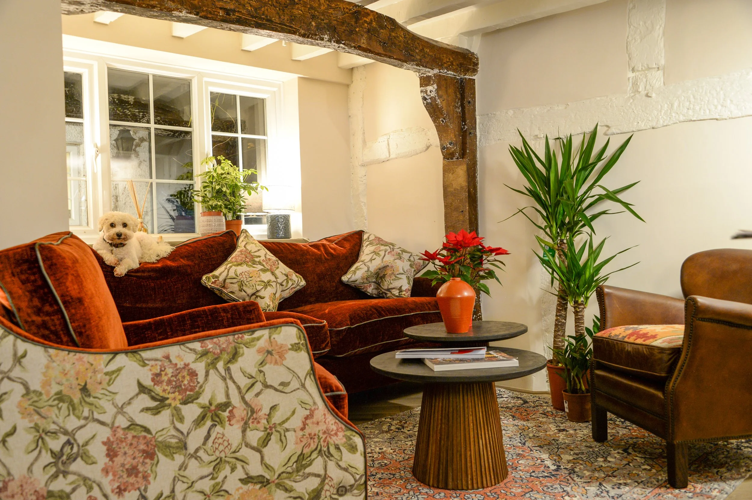 Velvet sofas, armchairs and plants inside The Travel Lounge in Cobham