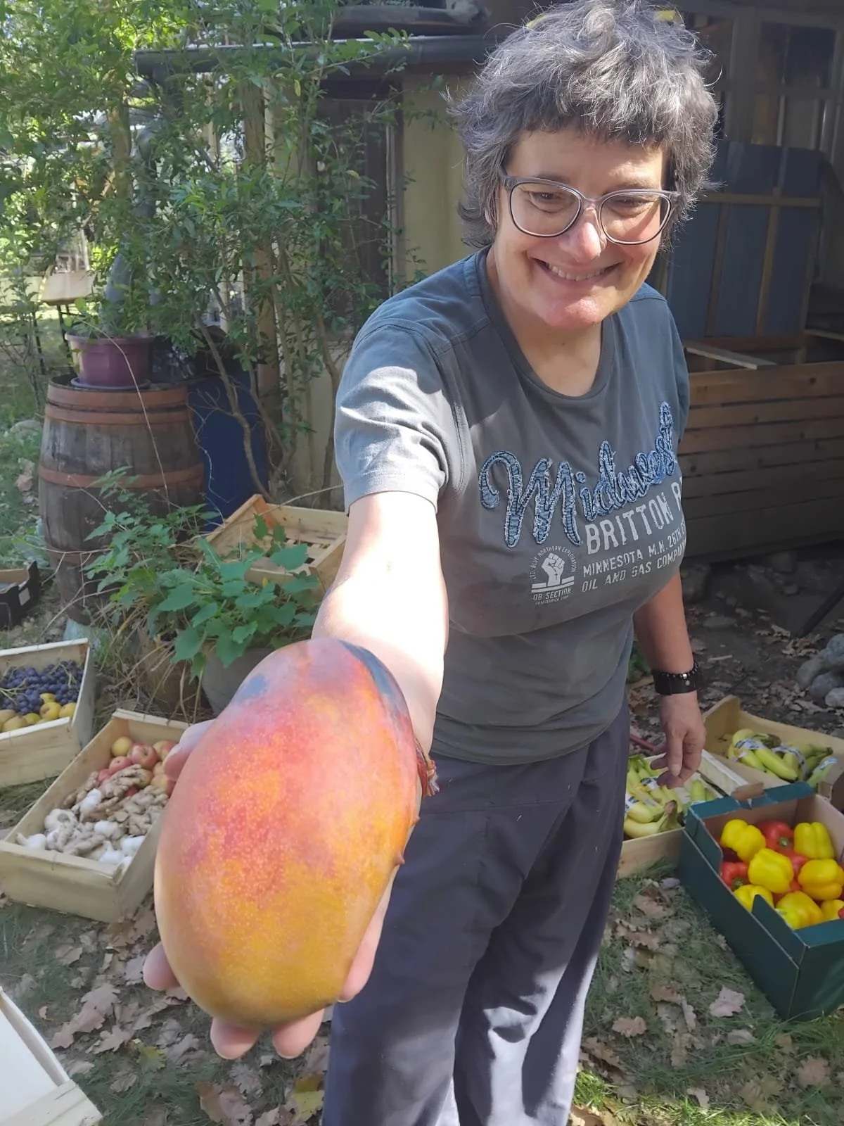 Ekuthuleni's first home-grown mango ! 