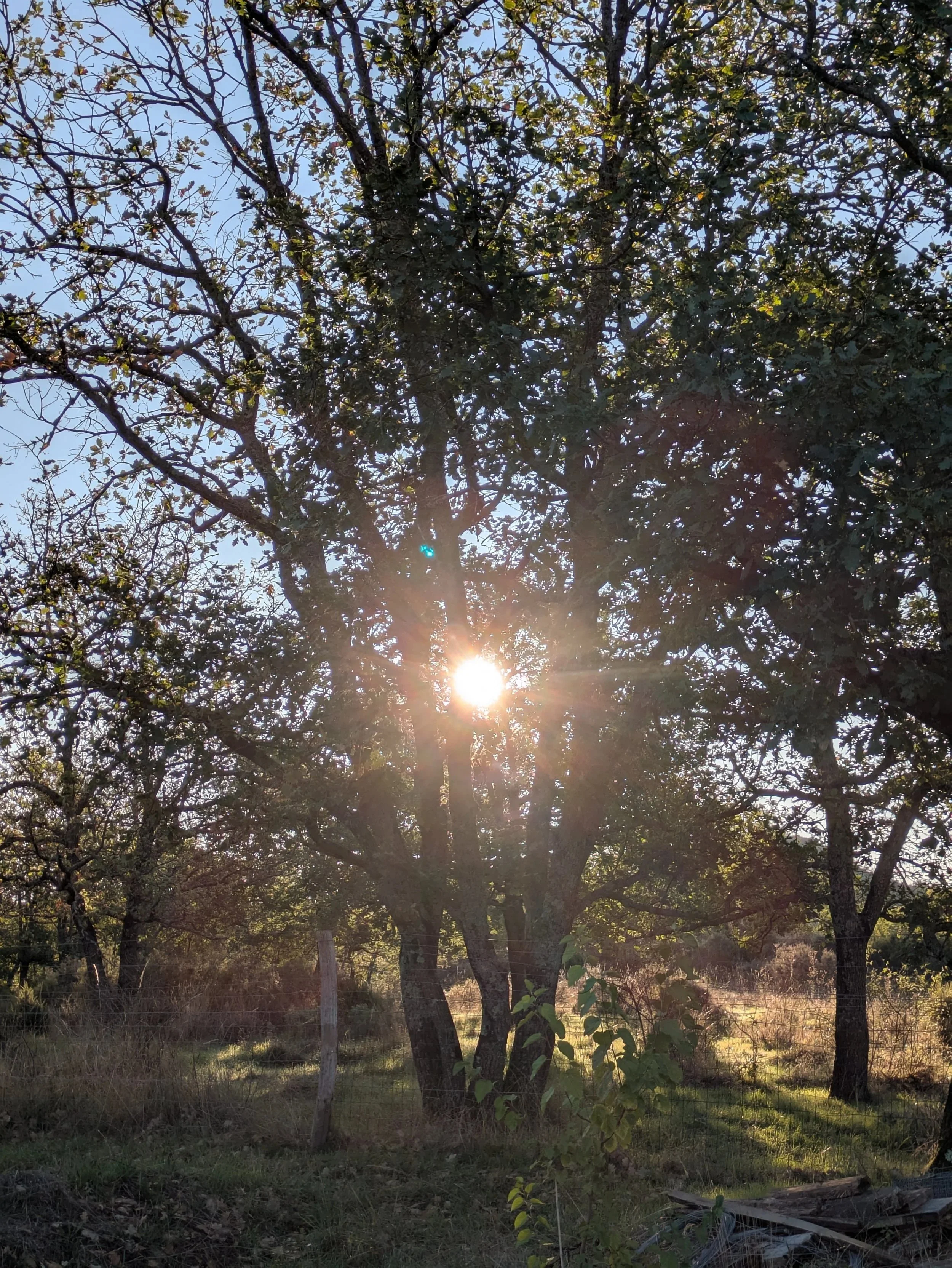 2026 Retreat programme / les retraites en 2026