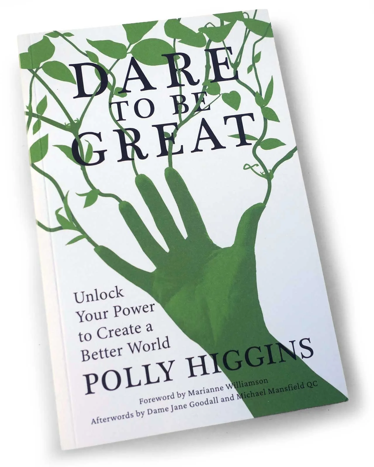 Flint / The History Press