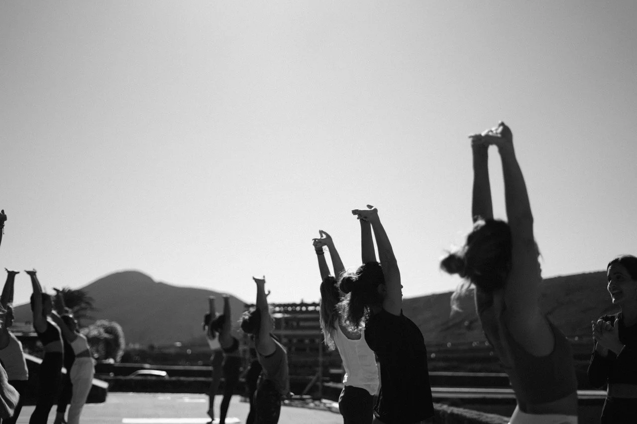 DSC09049 Large.jpeg