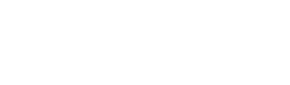 Edvice Logo-White-Transparent bg.png