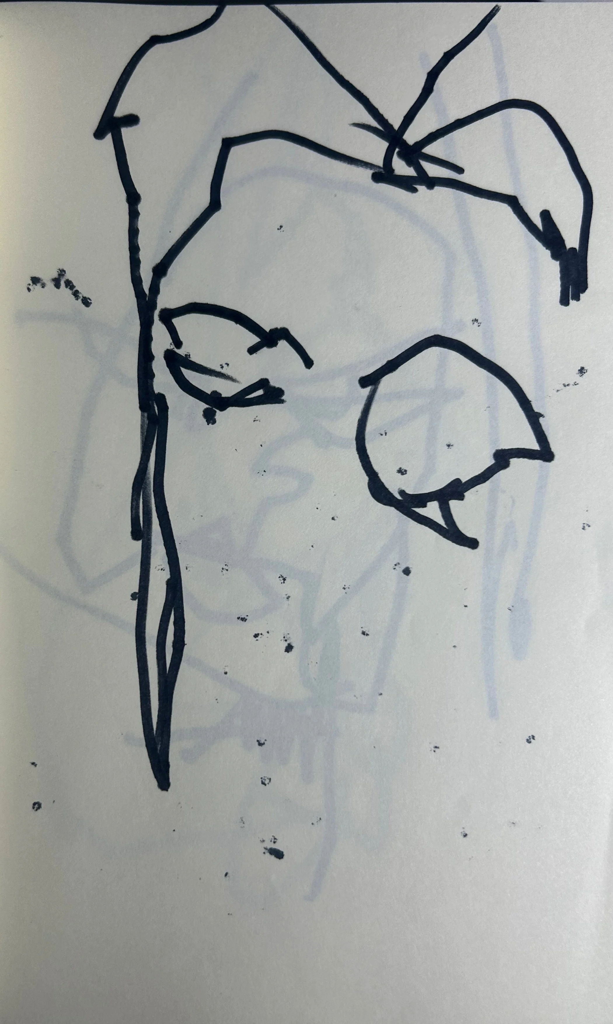 seb hair.jpg