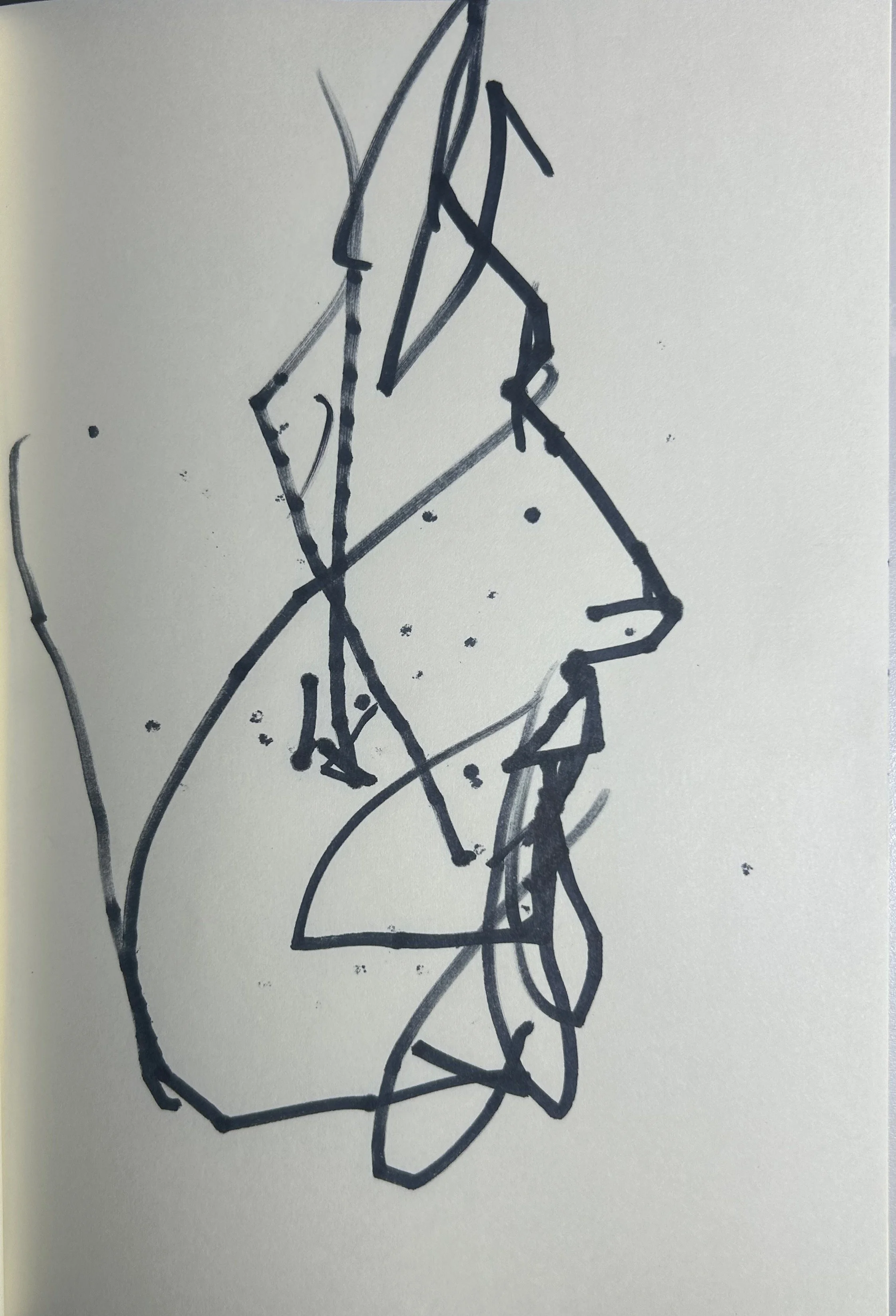 seb profile.jpg