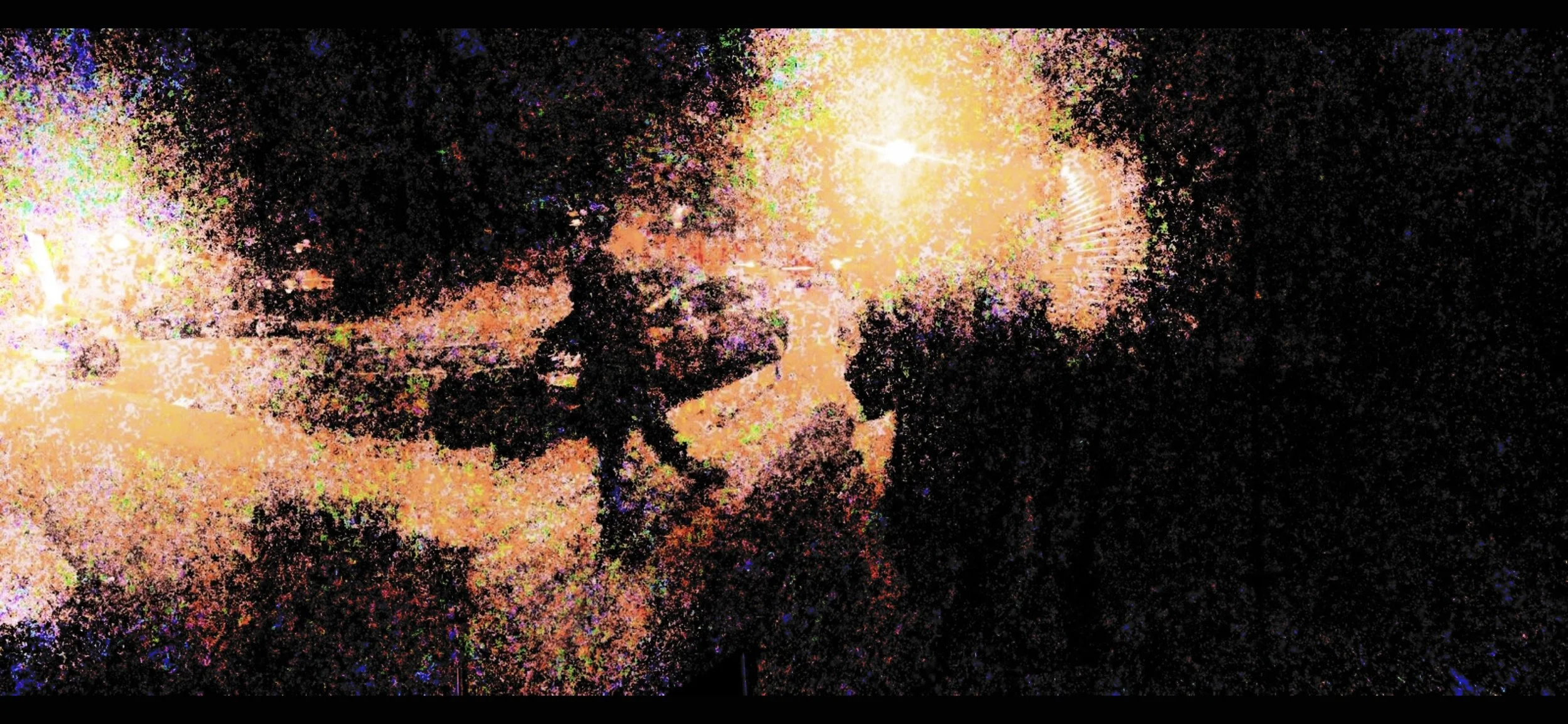 IMG_2356.jpeg