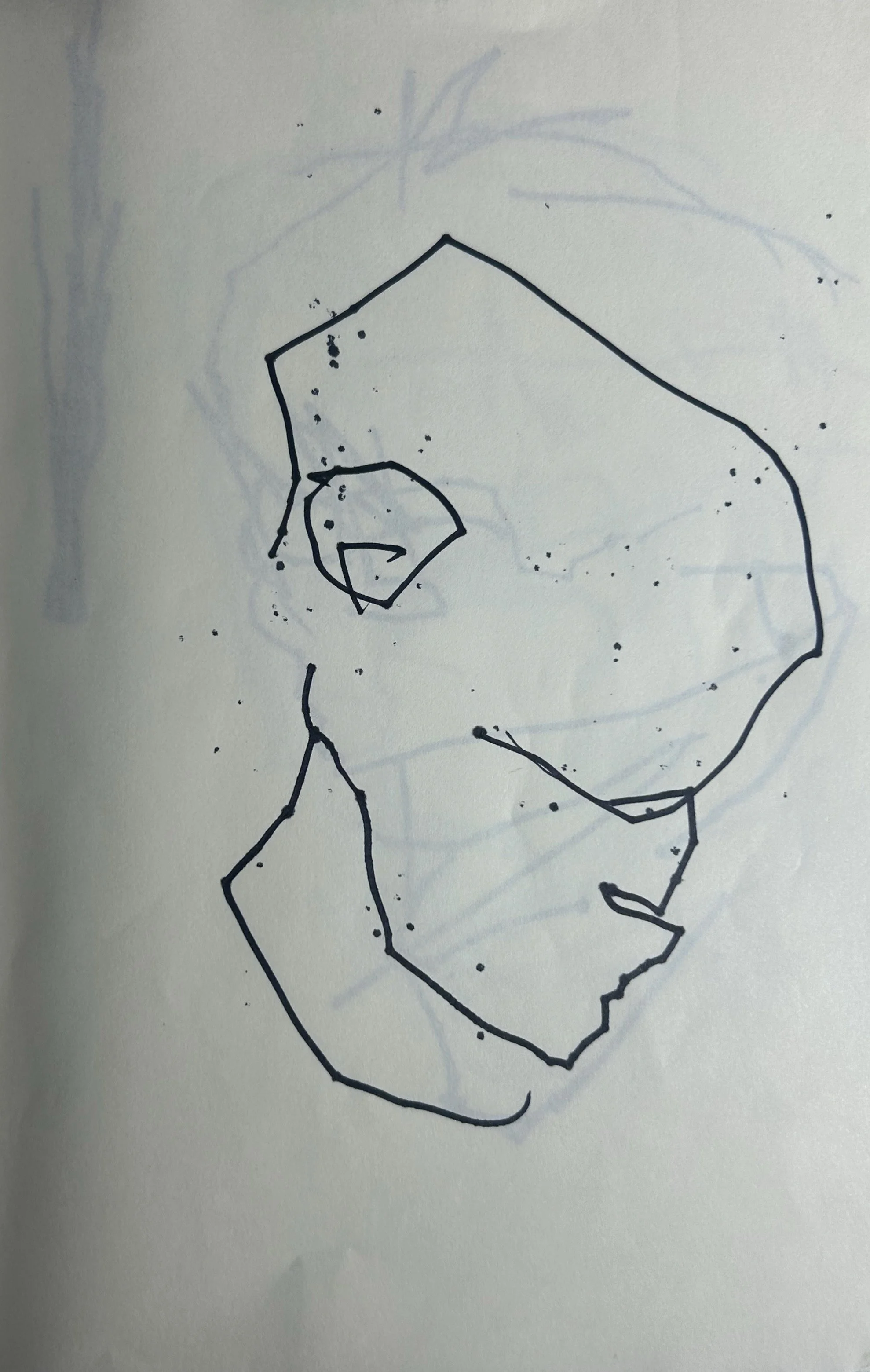 bobby outline.jpg