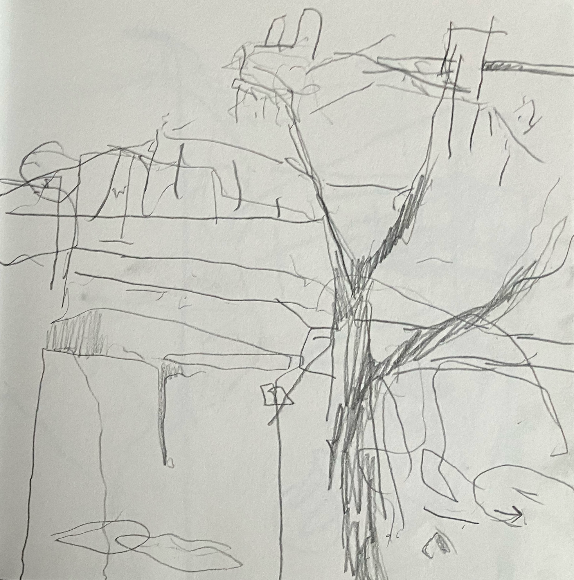 sketchbook-tree.png
