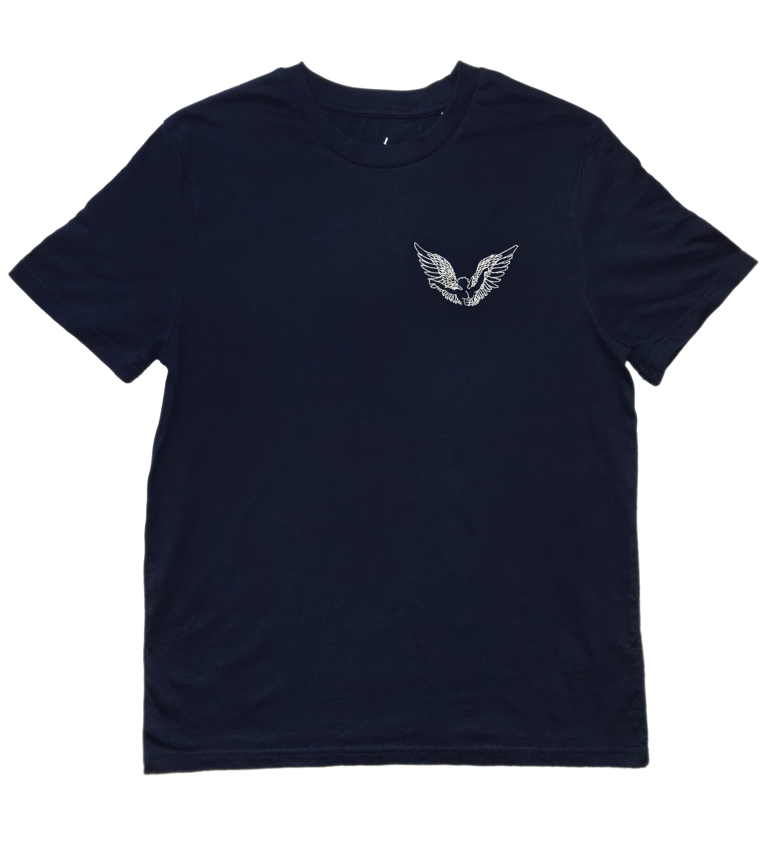 navy_wings.jpg
