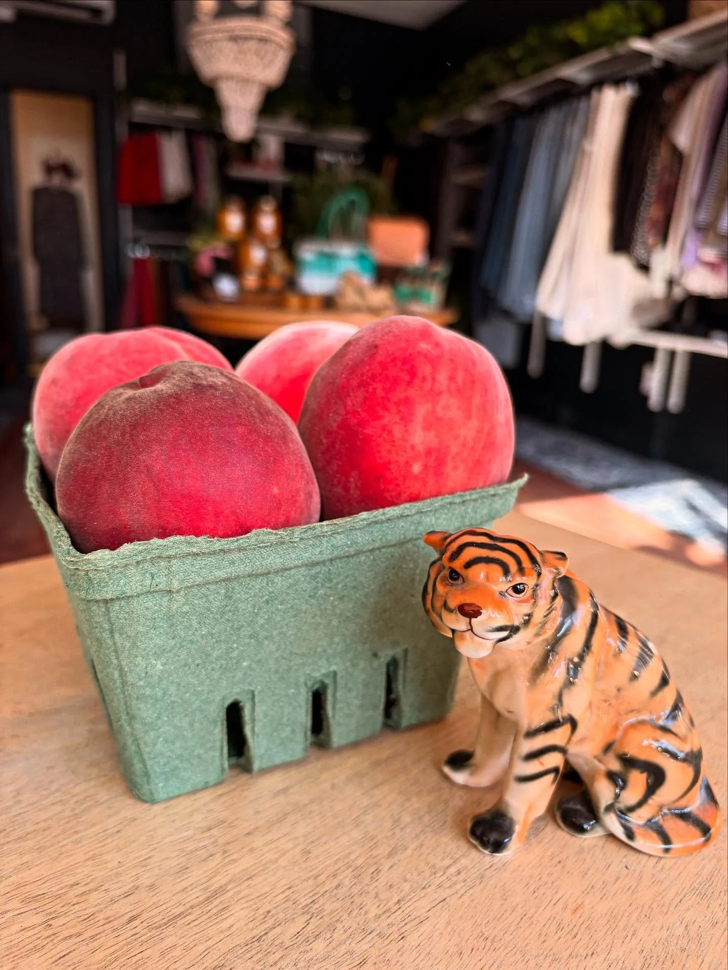 what a sweet surprise!  perfect, most delicious peaches from lovely Chelcie and her farm @honeypothillfarm They are hosting their annual blueberry festival this weekend - so much fun!  thank you Chelcie!  xoxo ✨💛🐅