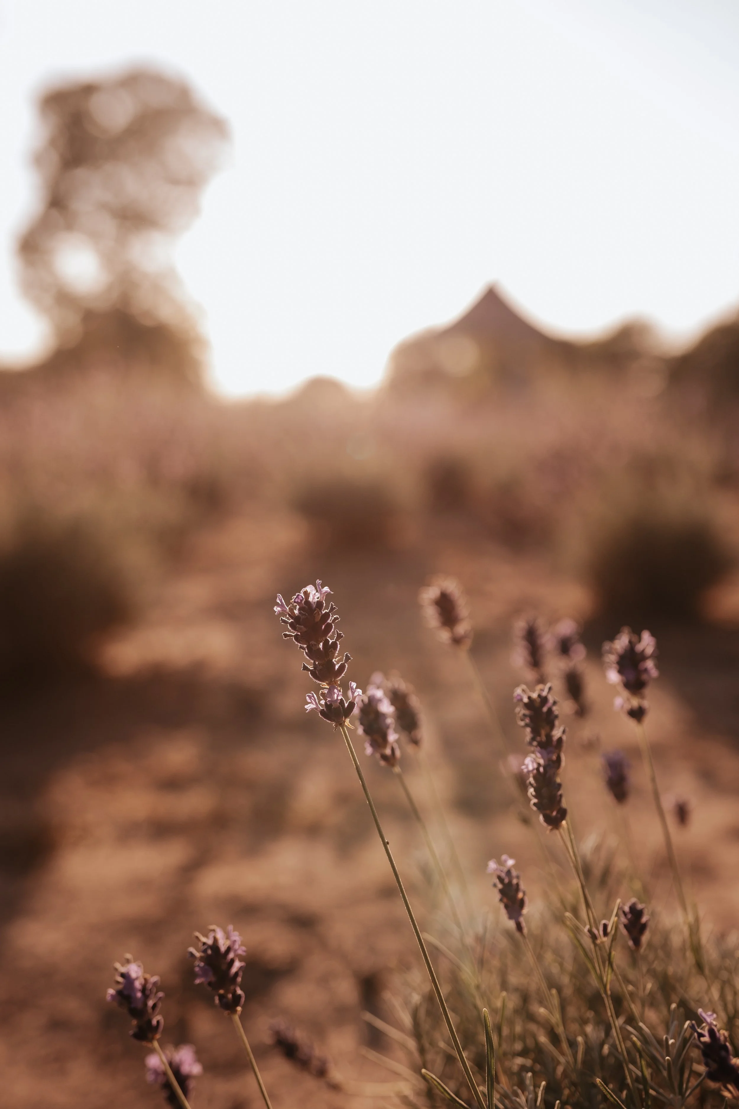 Isabelle Kate Photography-610.jpg