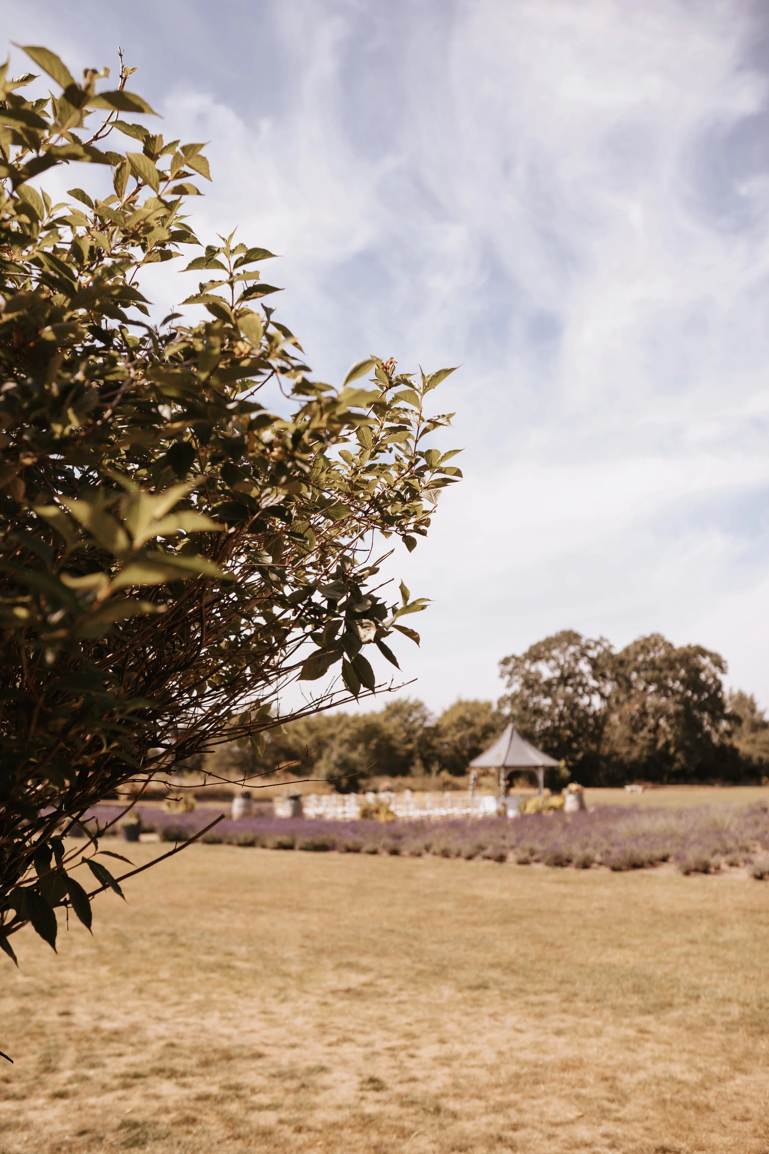 Isabelle Kate Photography-61.jpg