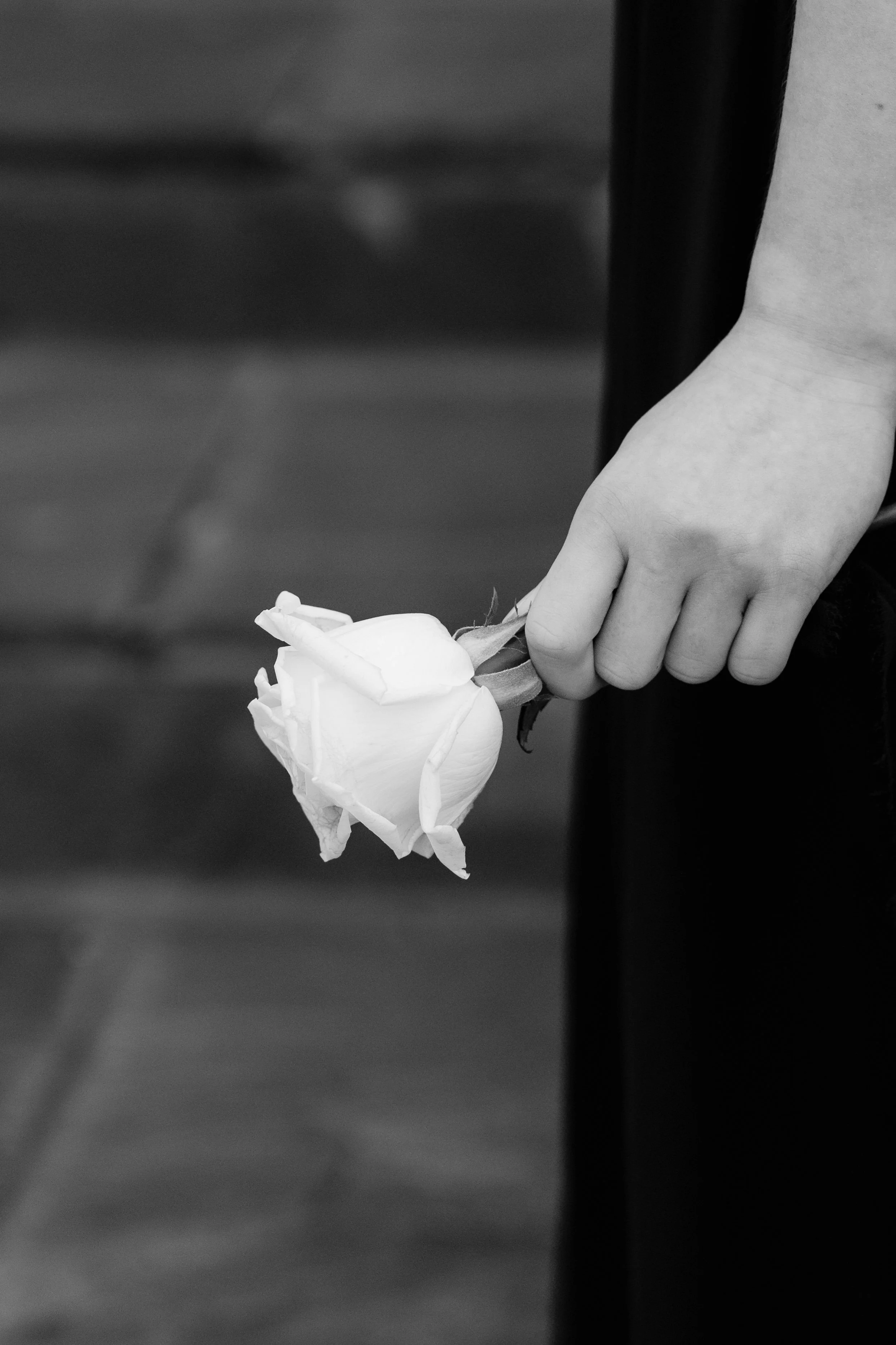 Isabelle Kate Photography-216.jpg