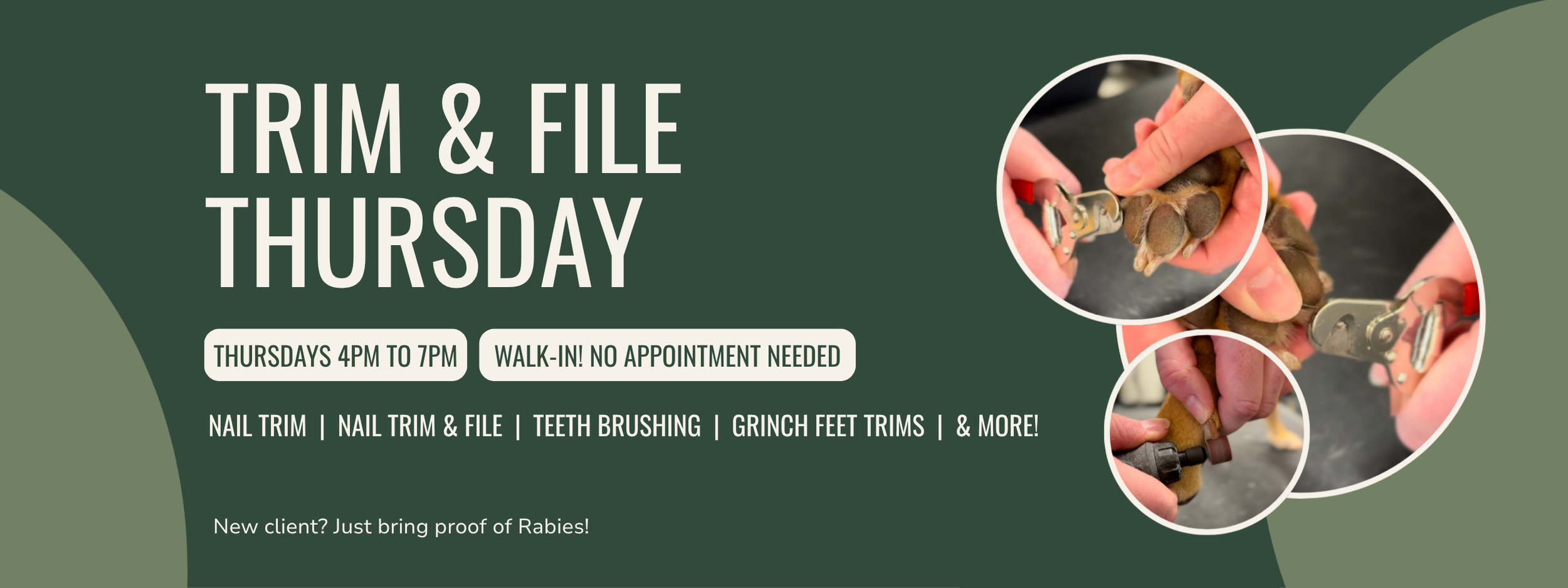 Website Banners - Trim & File Thursday.png