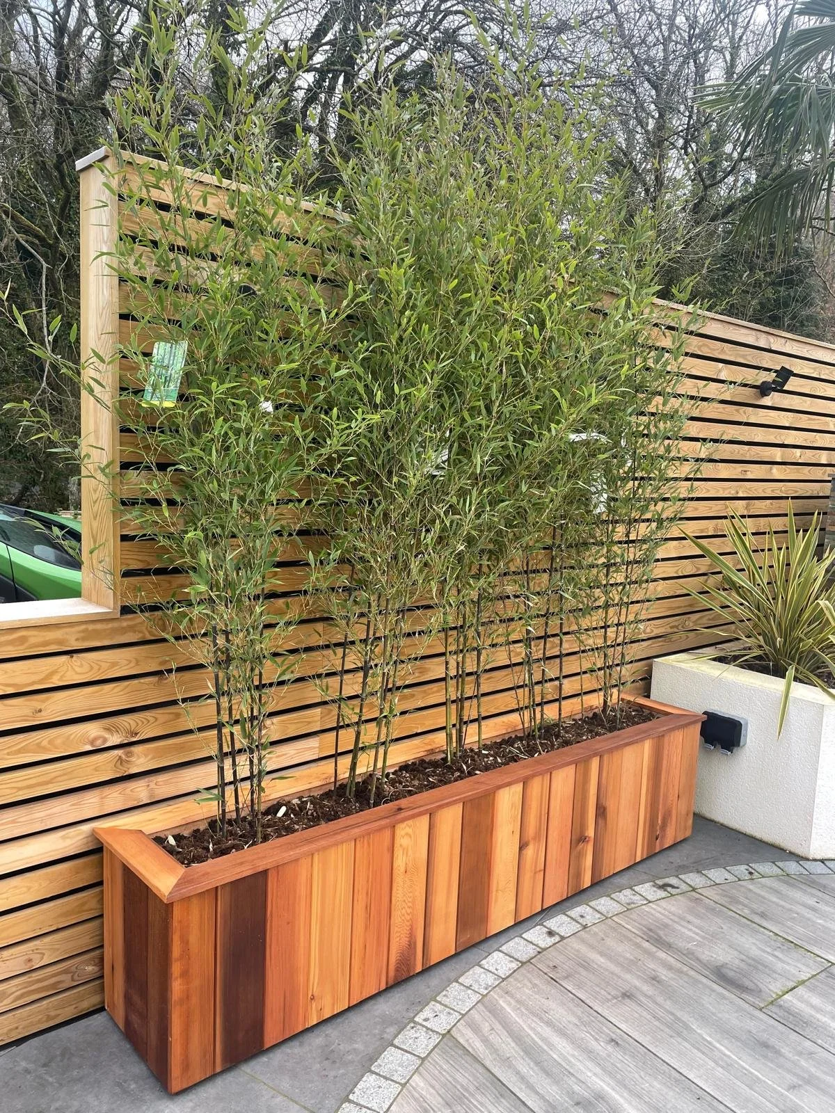premium-garden-landscaping-newport-modern-backyard.jpeg