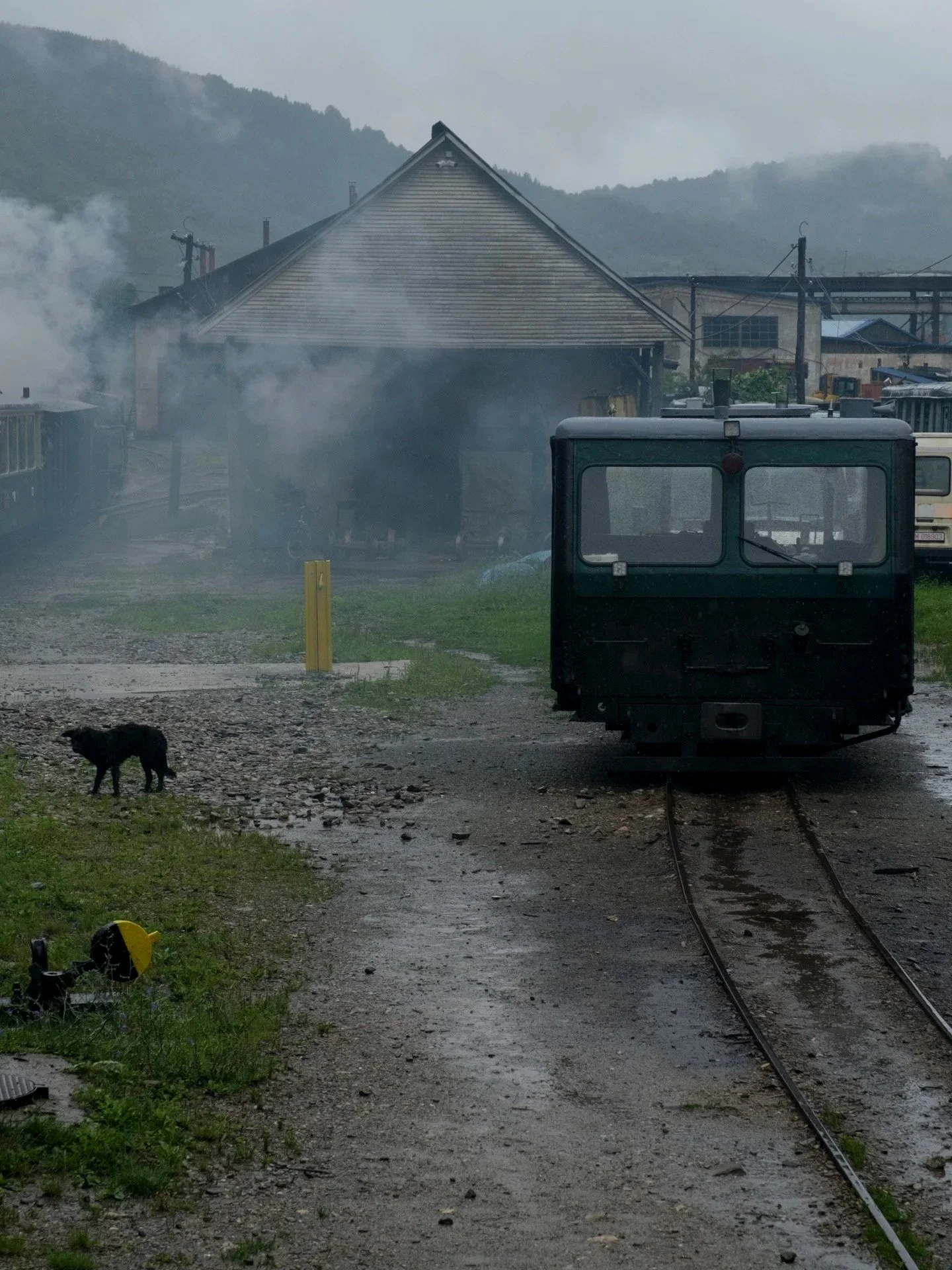 Un+train+dans+les+Carpates.jpg