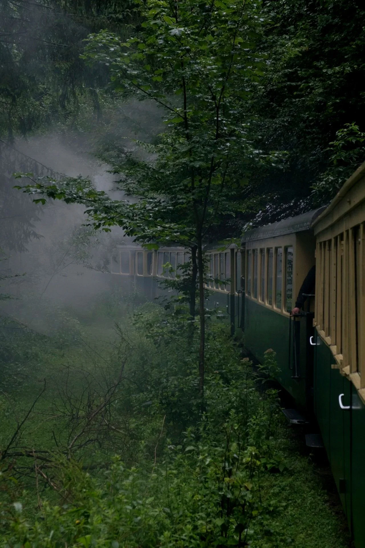 Un+train+dans+les+Carpates-5.jpg