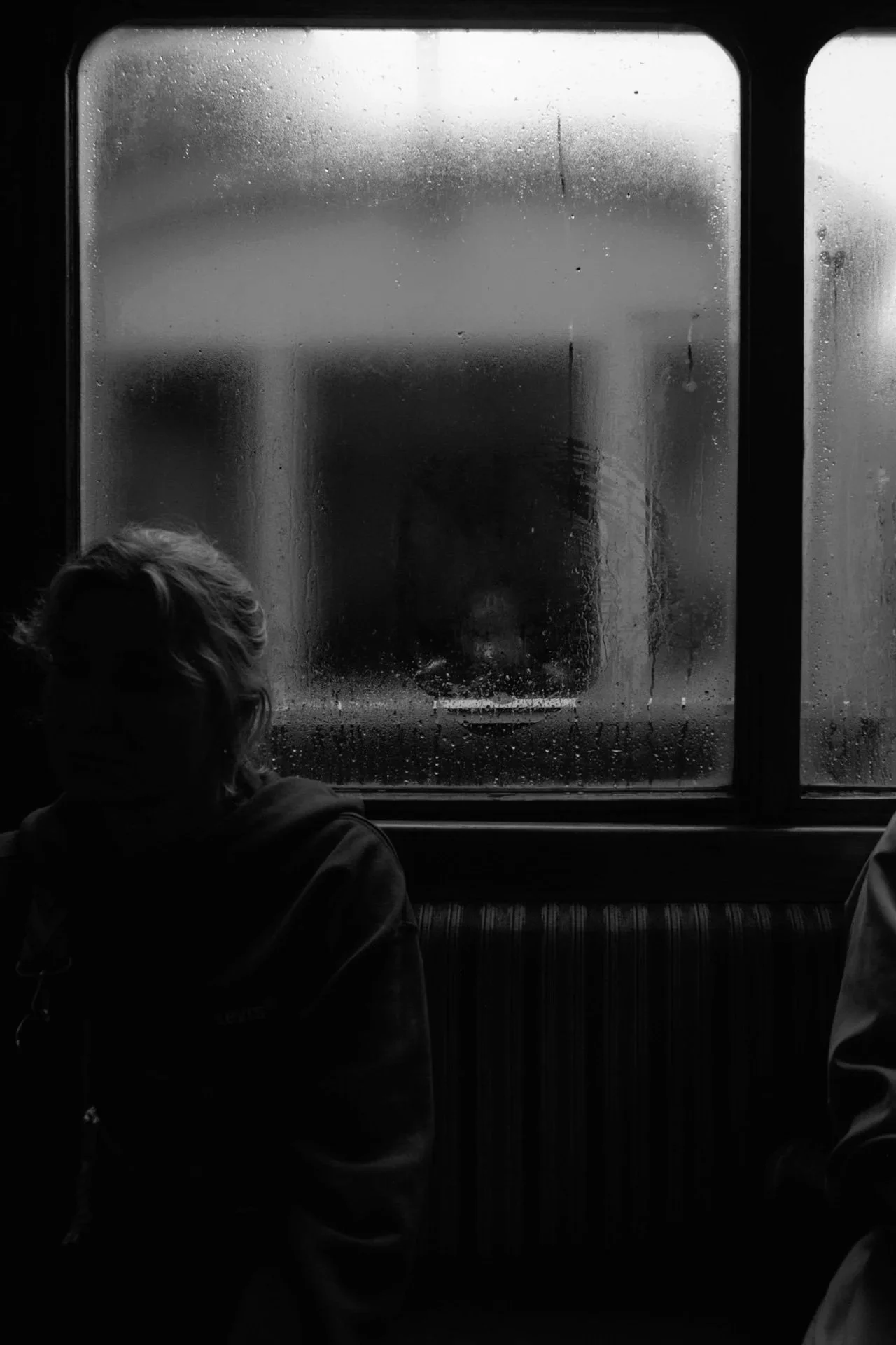 Un+train+dans+les+Carpates-7.jpg