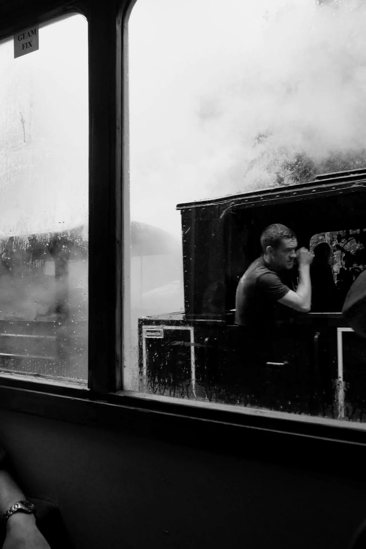 Un+train+dans+les+Carpates-8.jpg