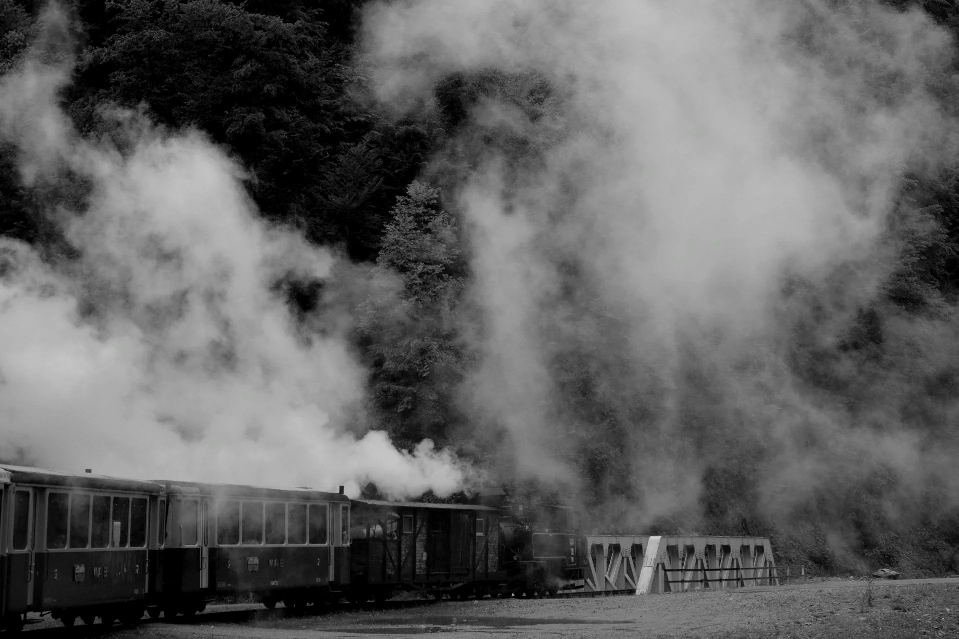 En+train+dans+les+Carpates-11.jpg