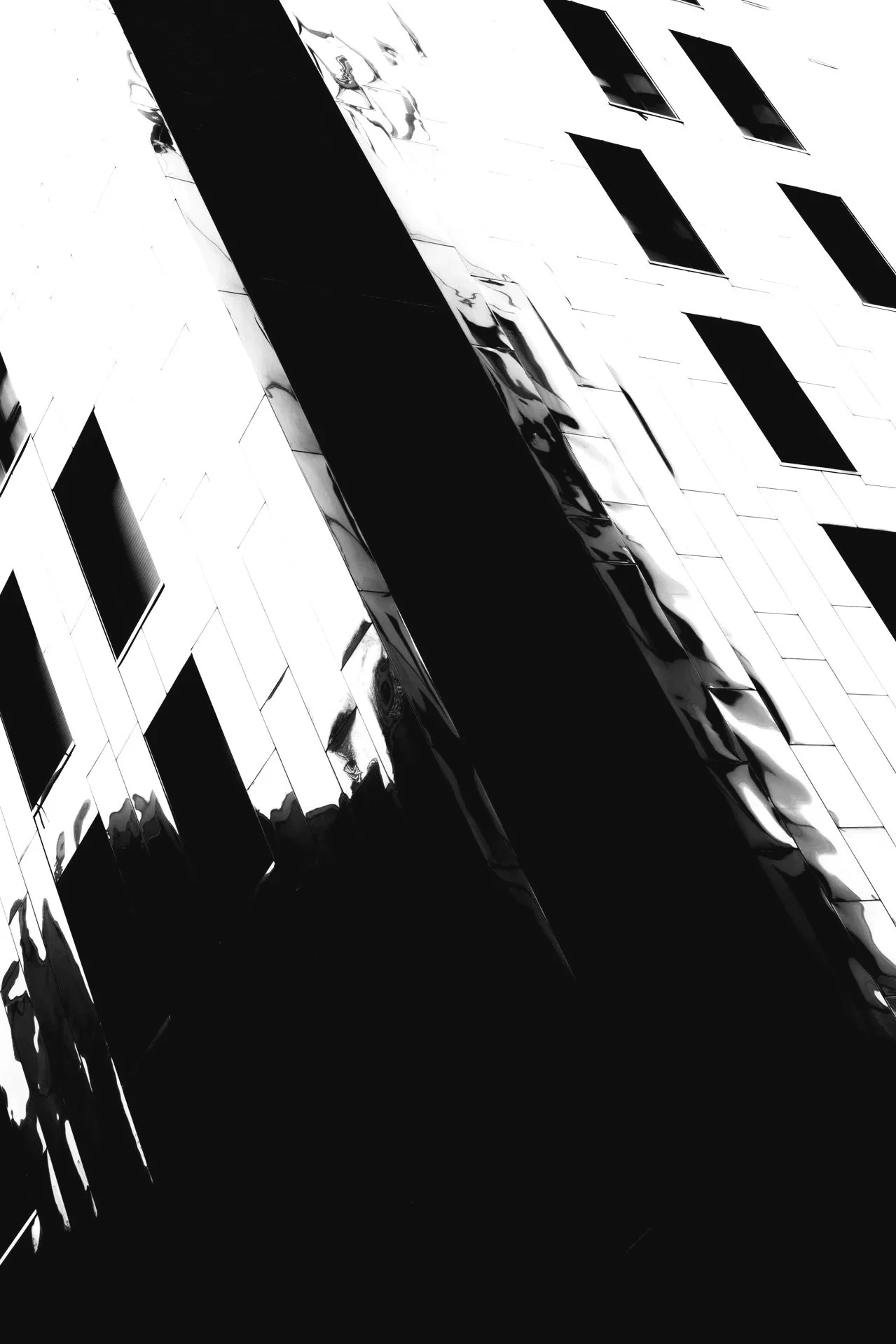 NoFuture%2B%25232.jpg