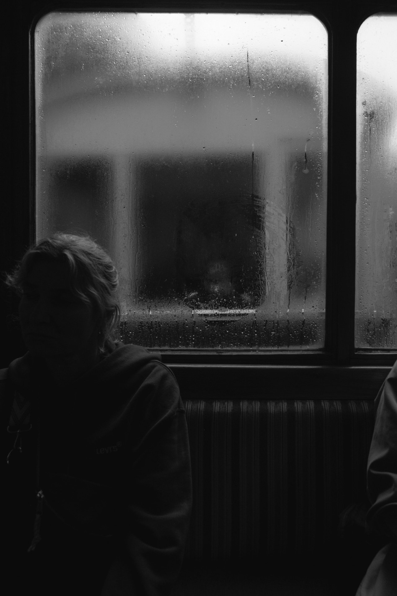 Un train dans les Carpates-7.jpg