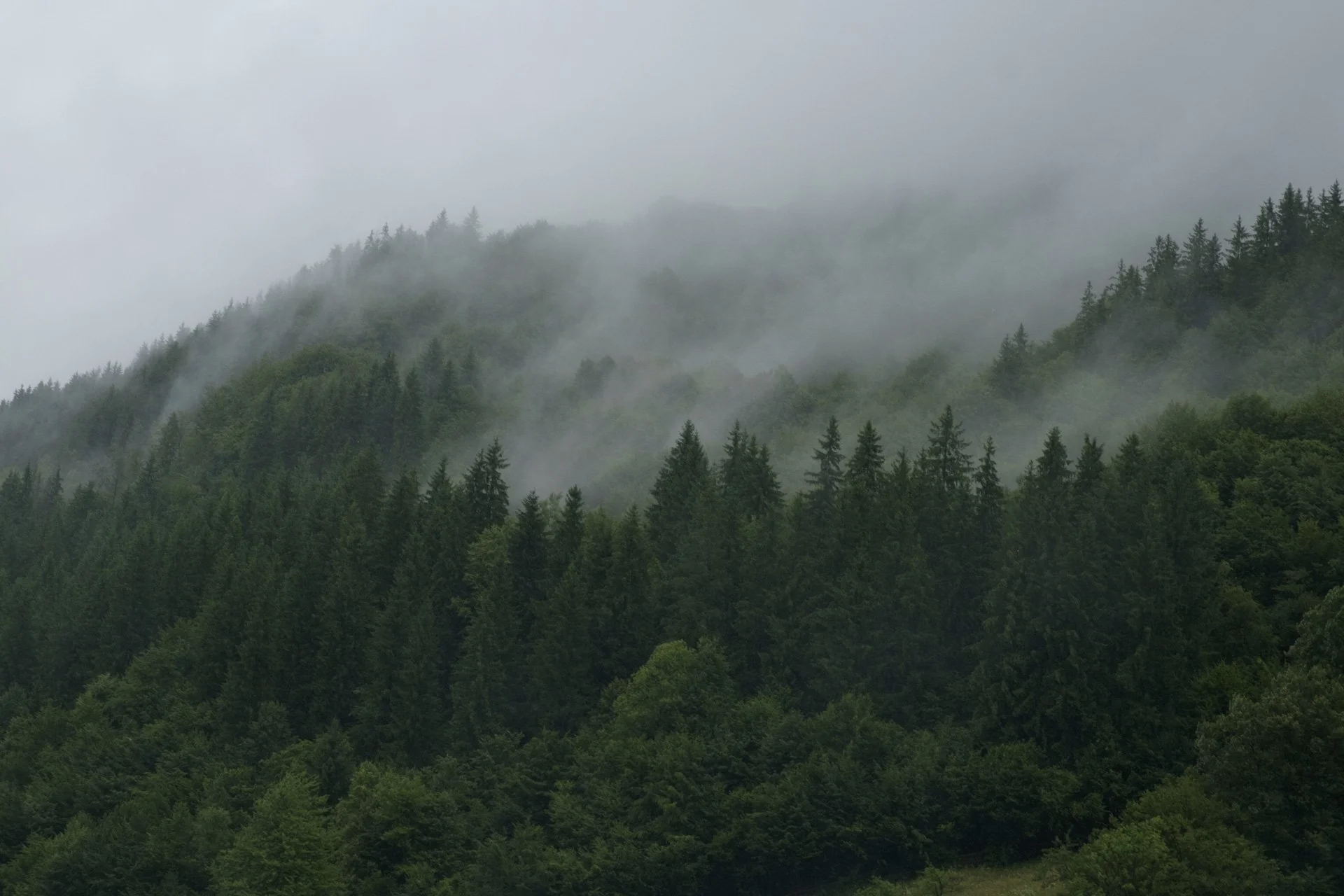 Un train dans les Carpates-9.jpg