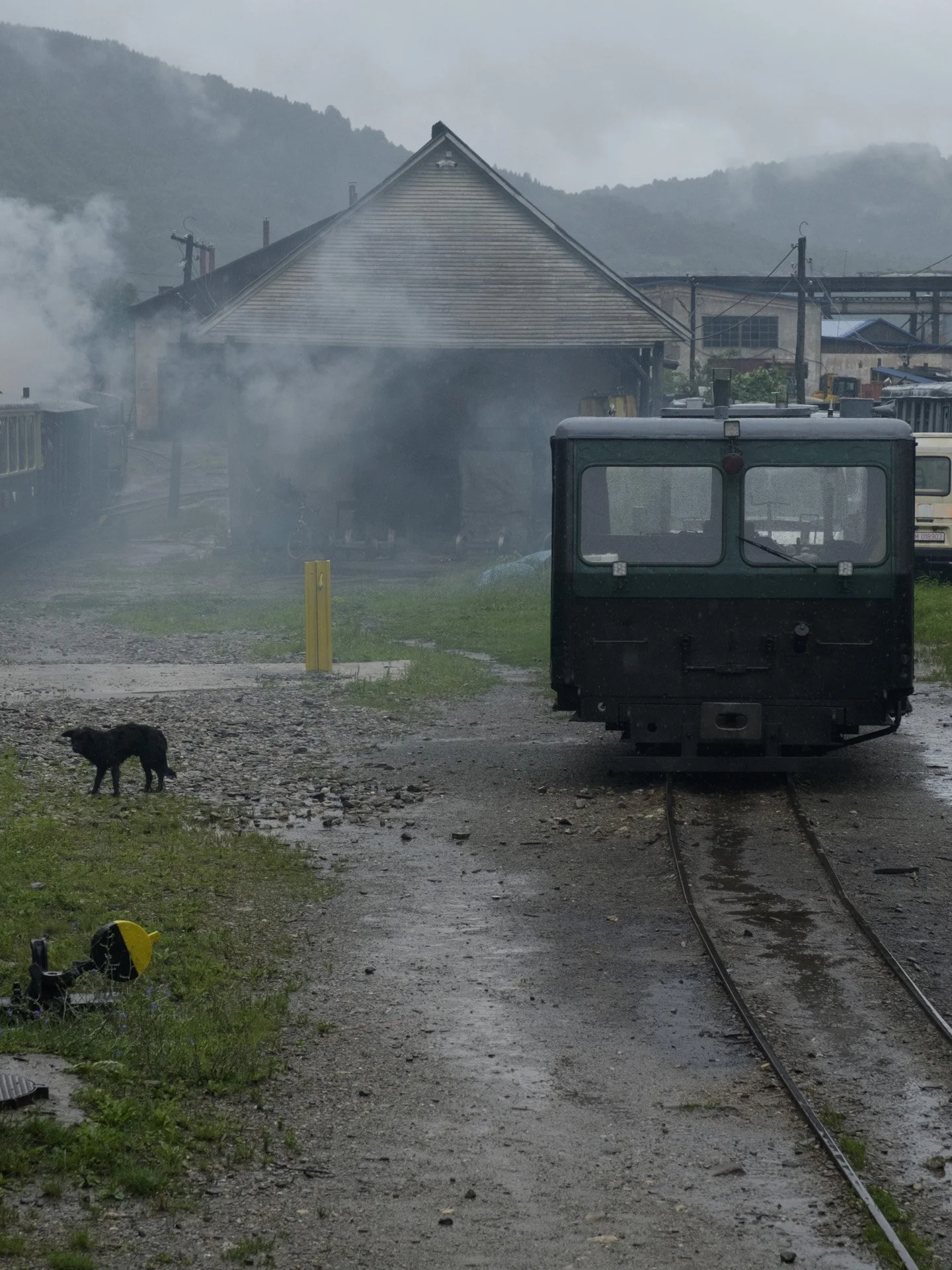 Un train dans les Carpates.jpg