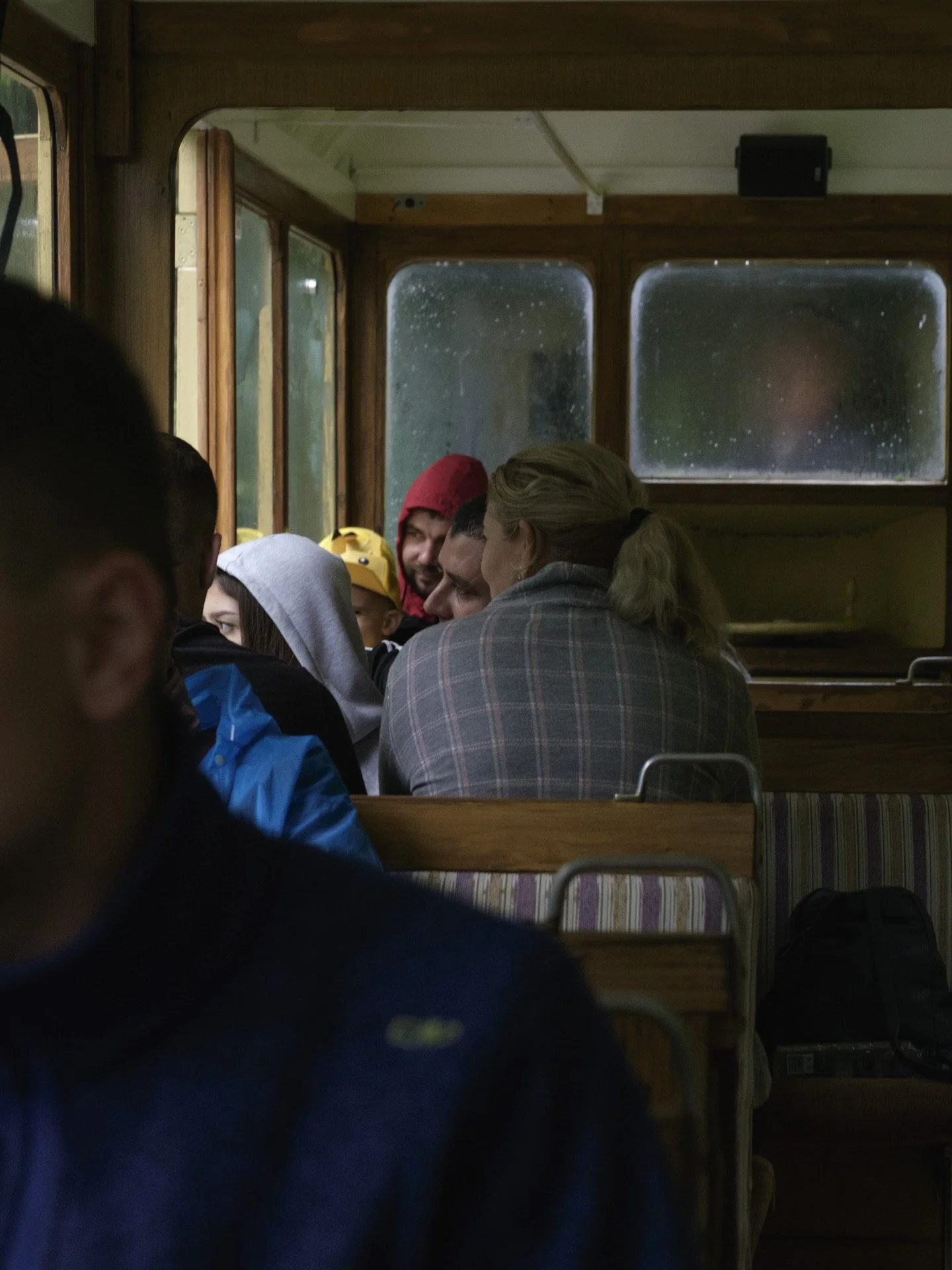 Un train dans les Carpates-6.jpg