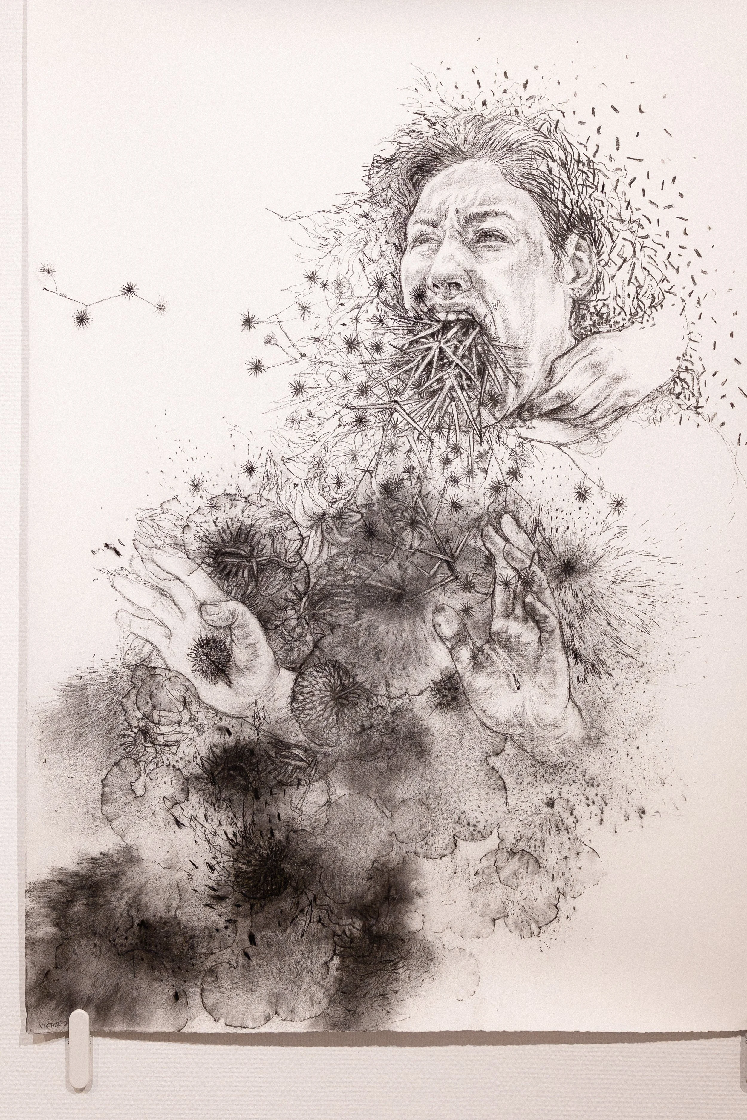  © Pierine di Giacomo 
