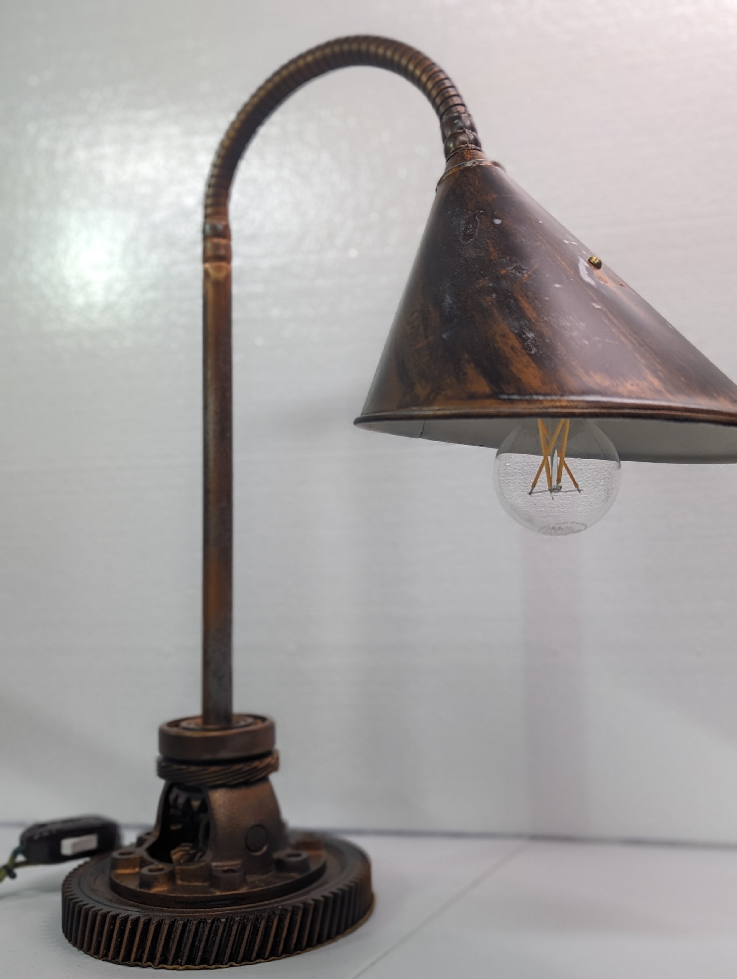 PXL_20231210_205255201.PORTRAIT.jpg