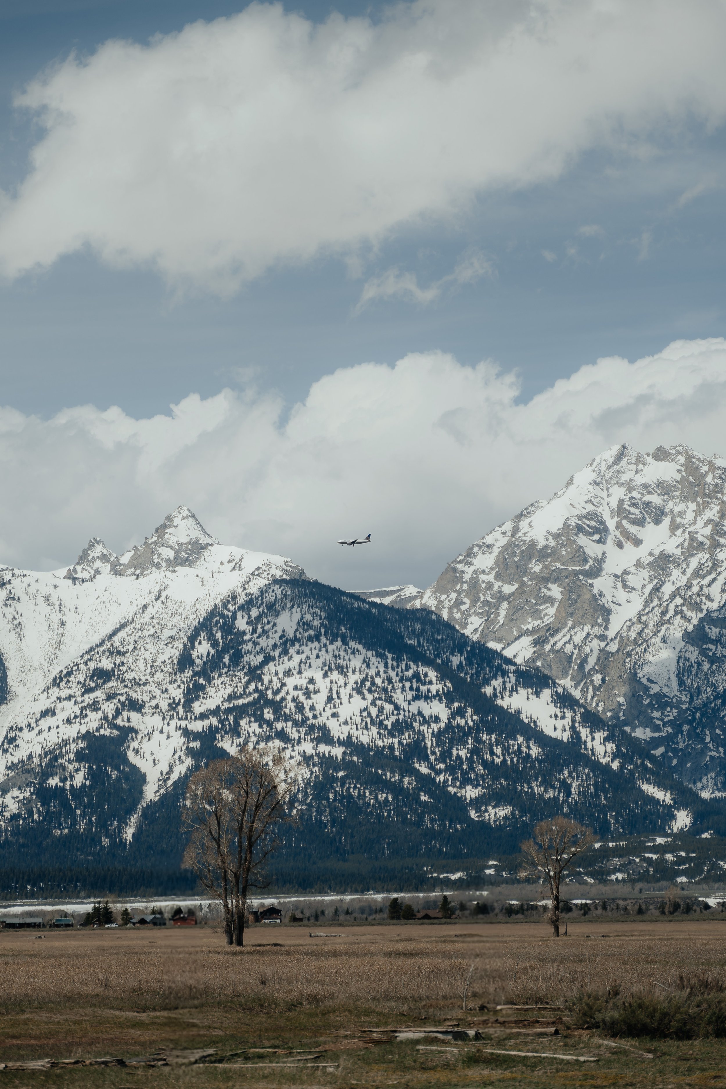 DSC_6573.jpg