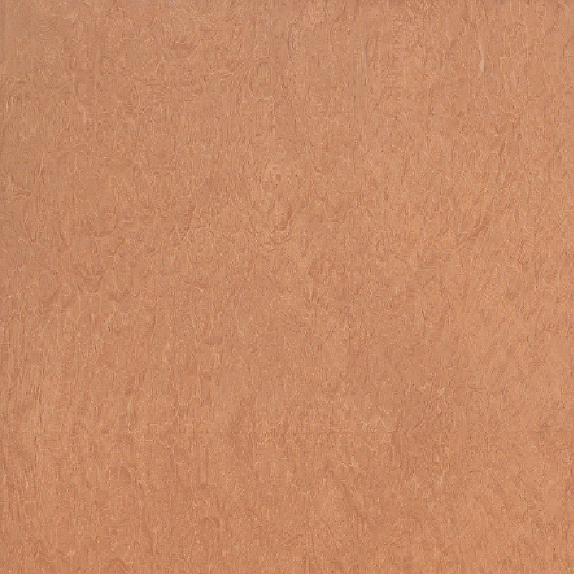 Madonna burl Dyed Veneer Sample