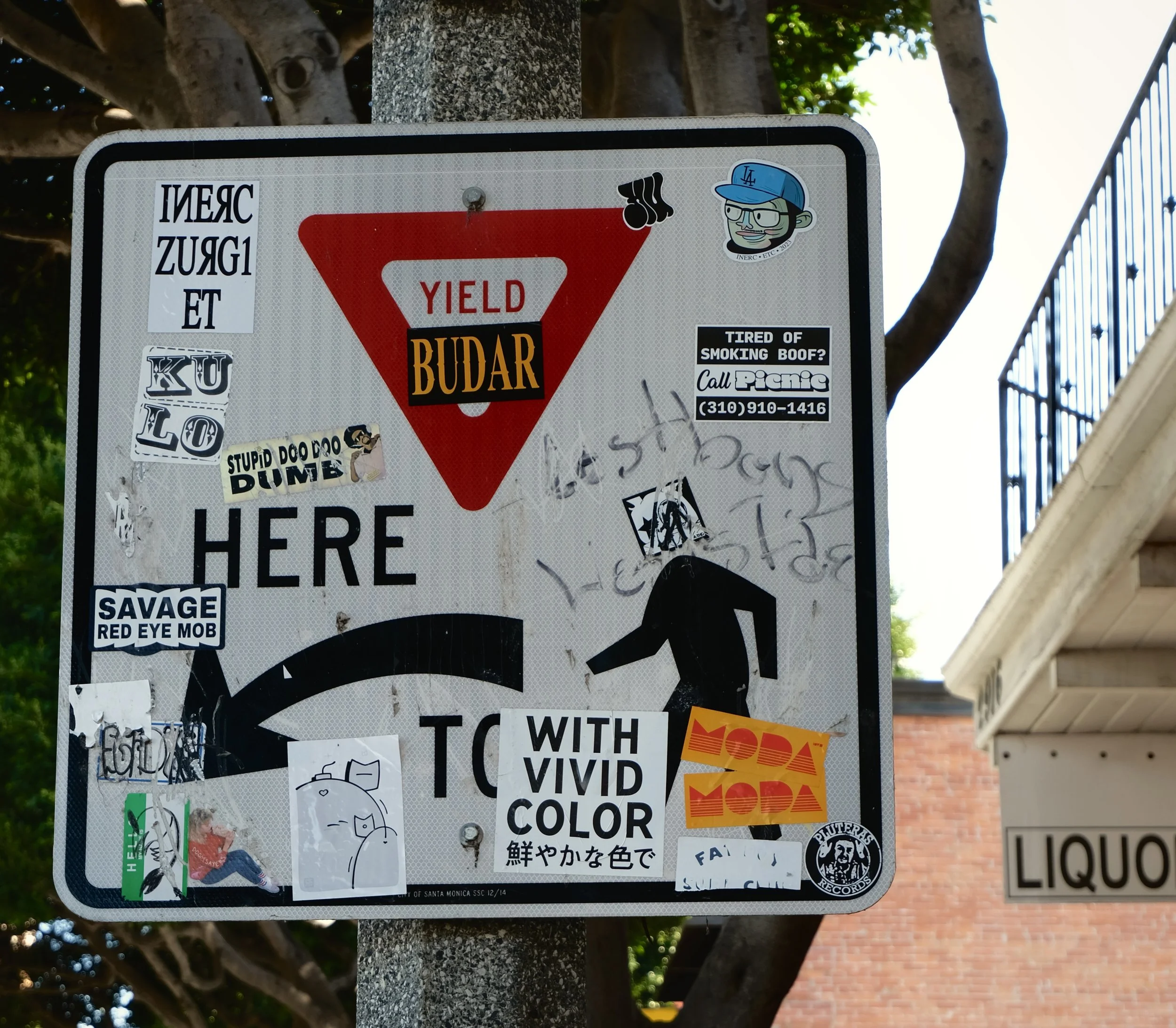 DSCF0018.jpg