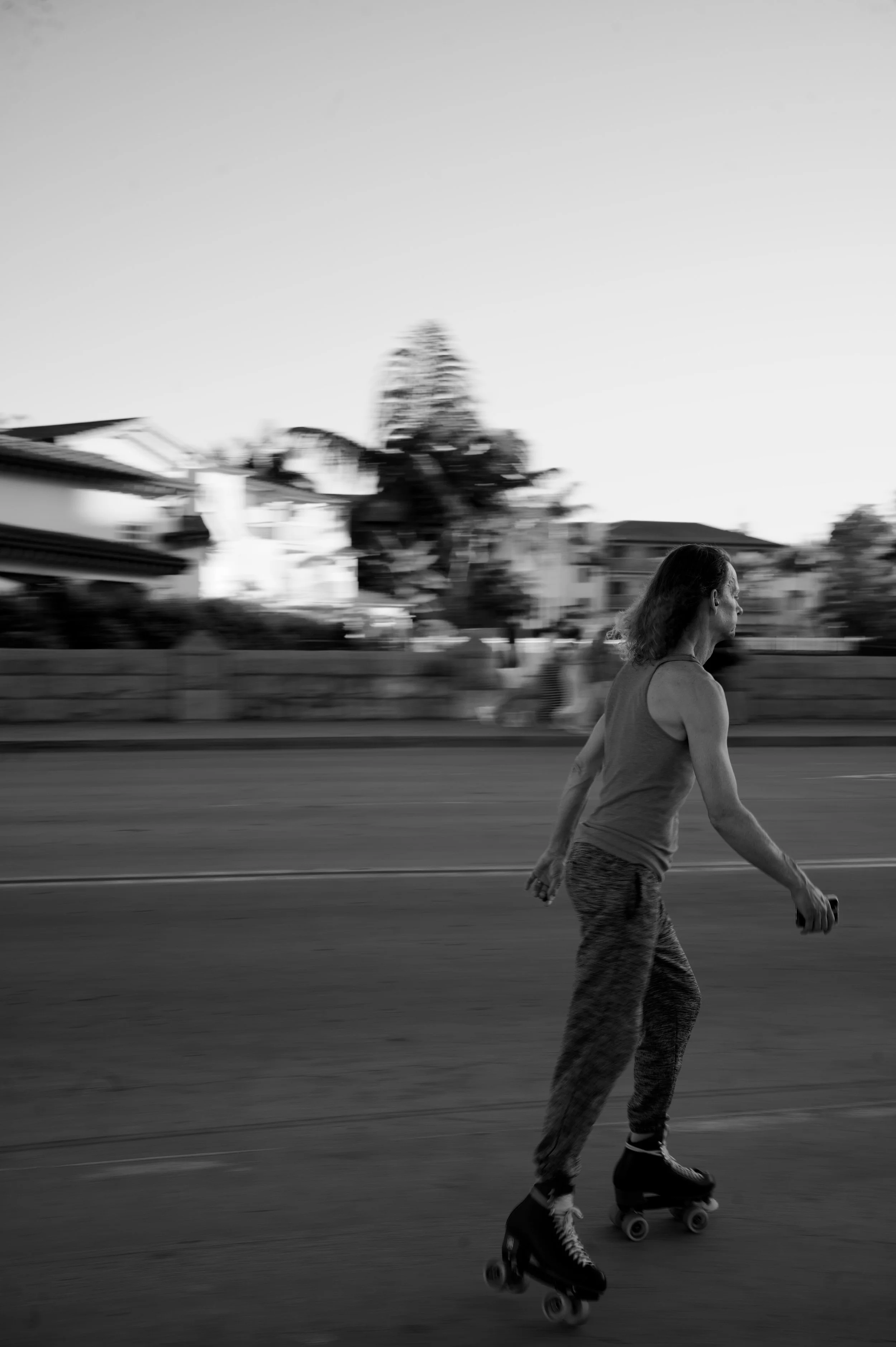 _DSC8215.jpeg