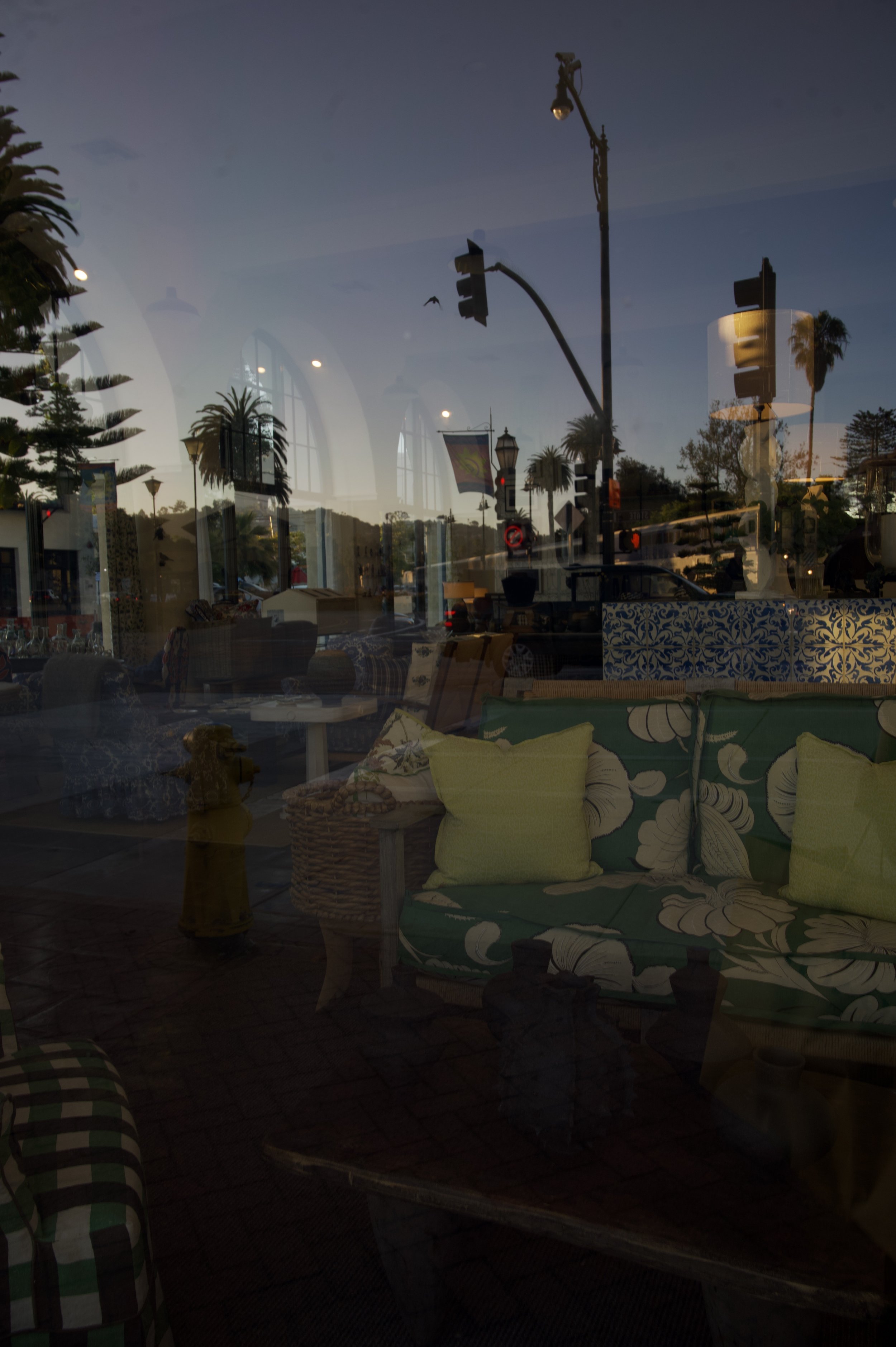 _DSC8242.jpeg