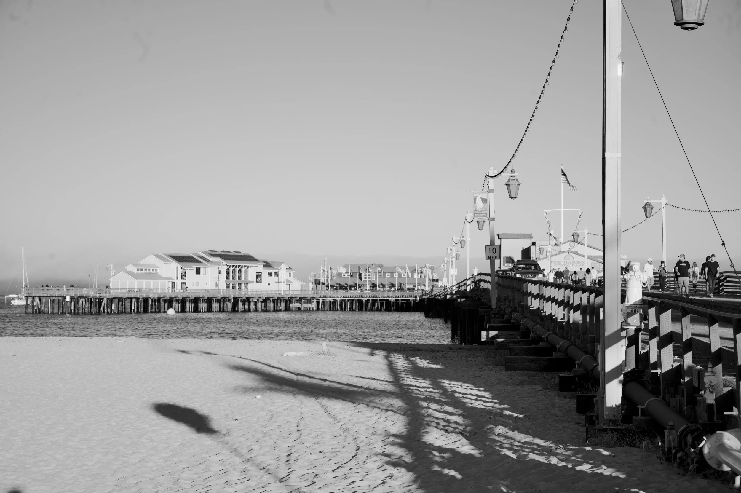 _DSC8198.jpeg