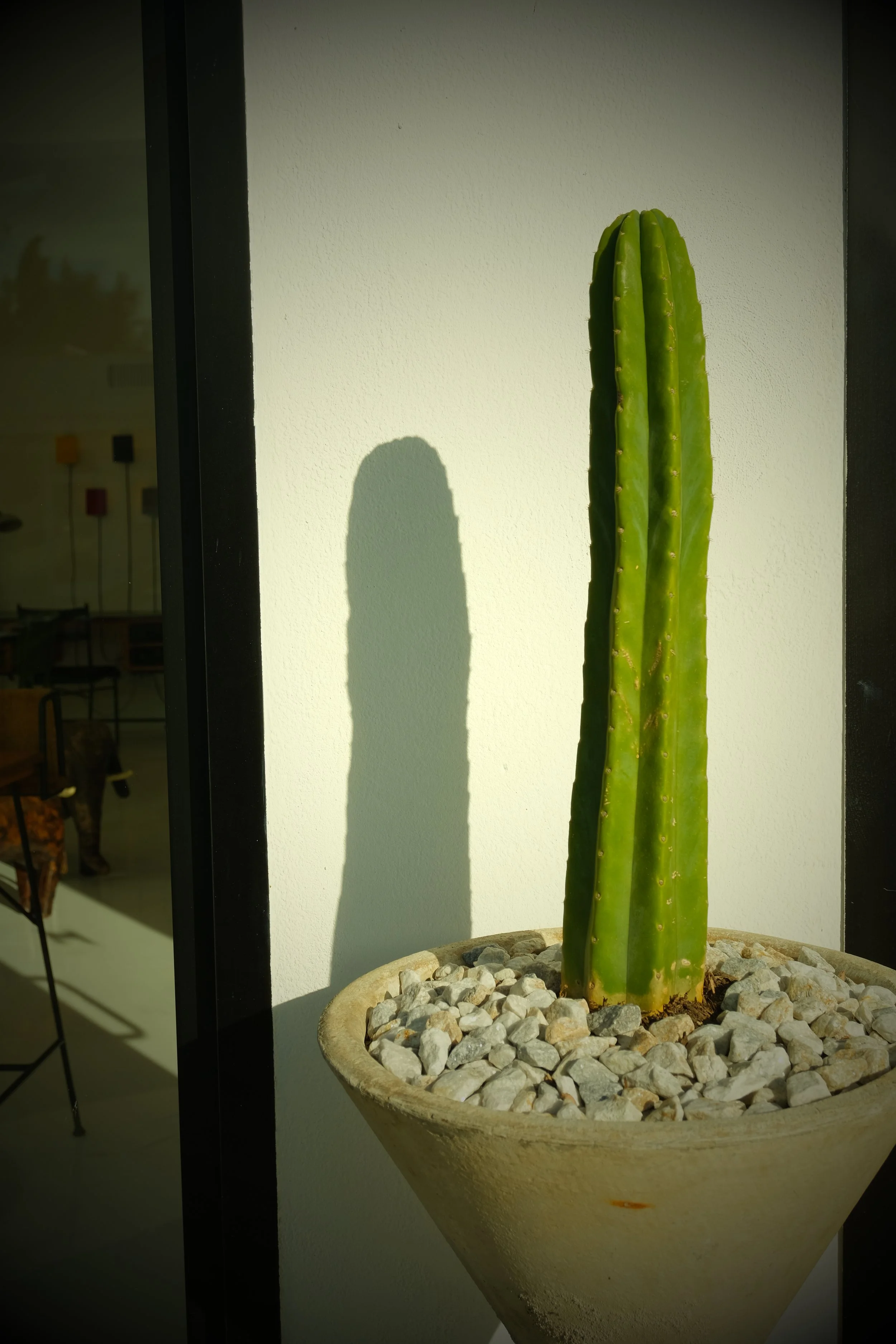DSCF0145.jpg