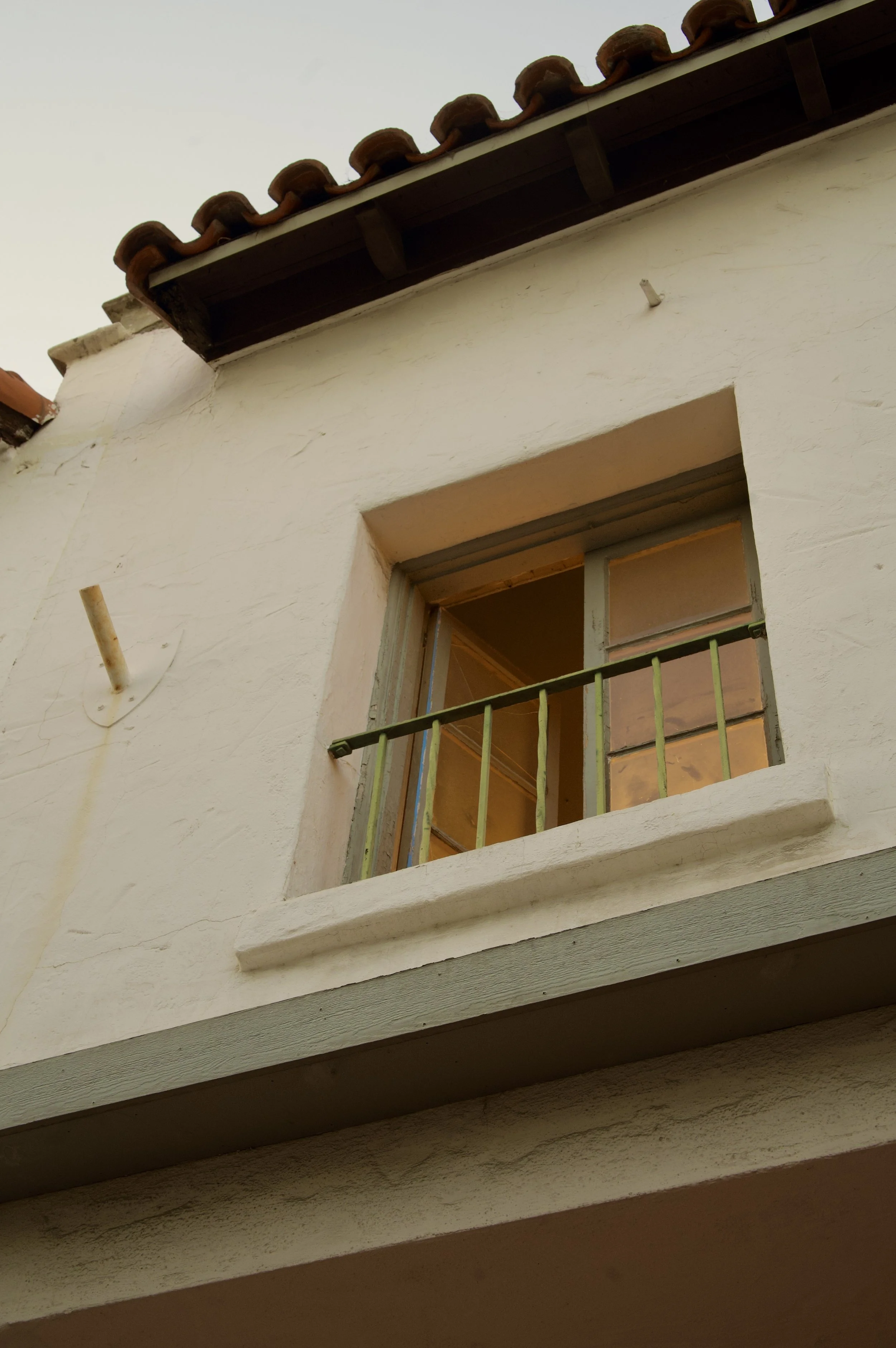 _DSC8324.jpeg