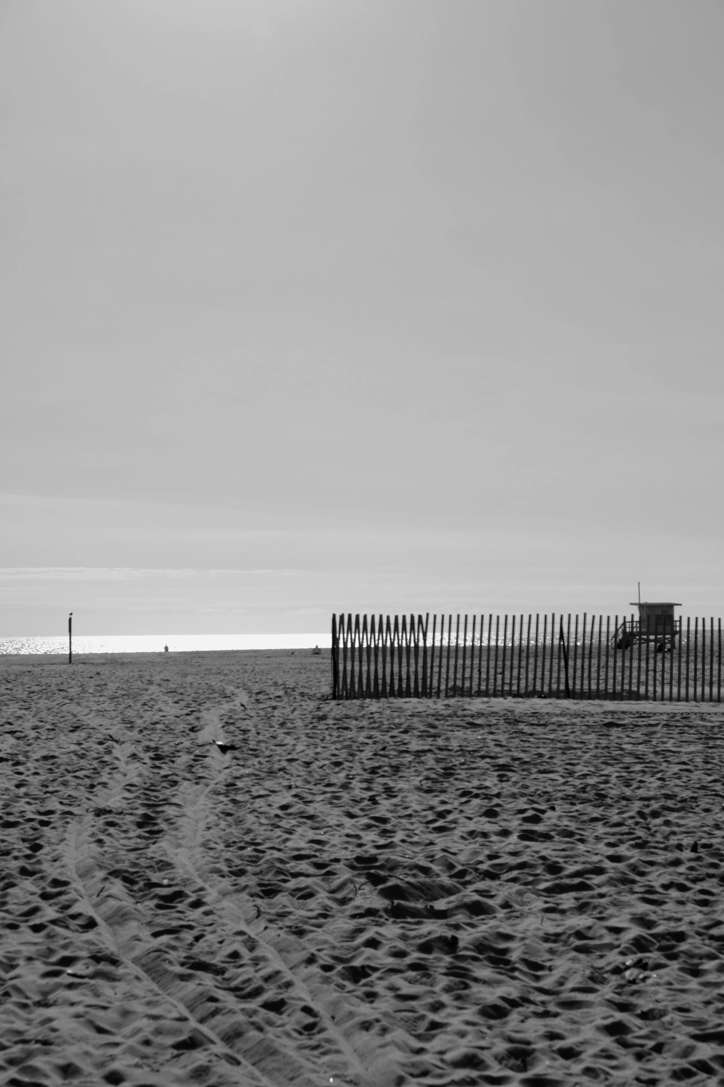 DSCF0064.jpg