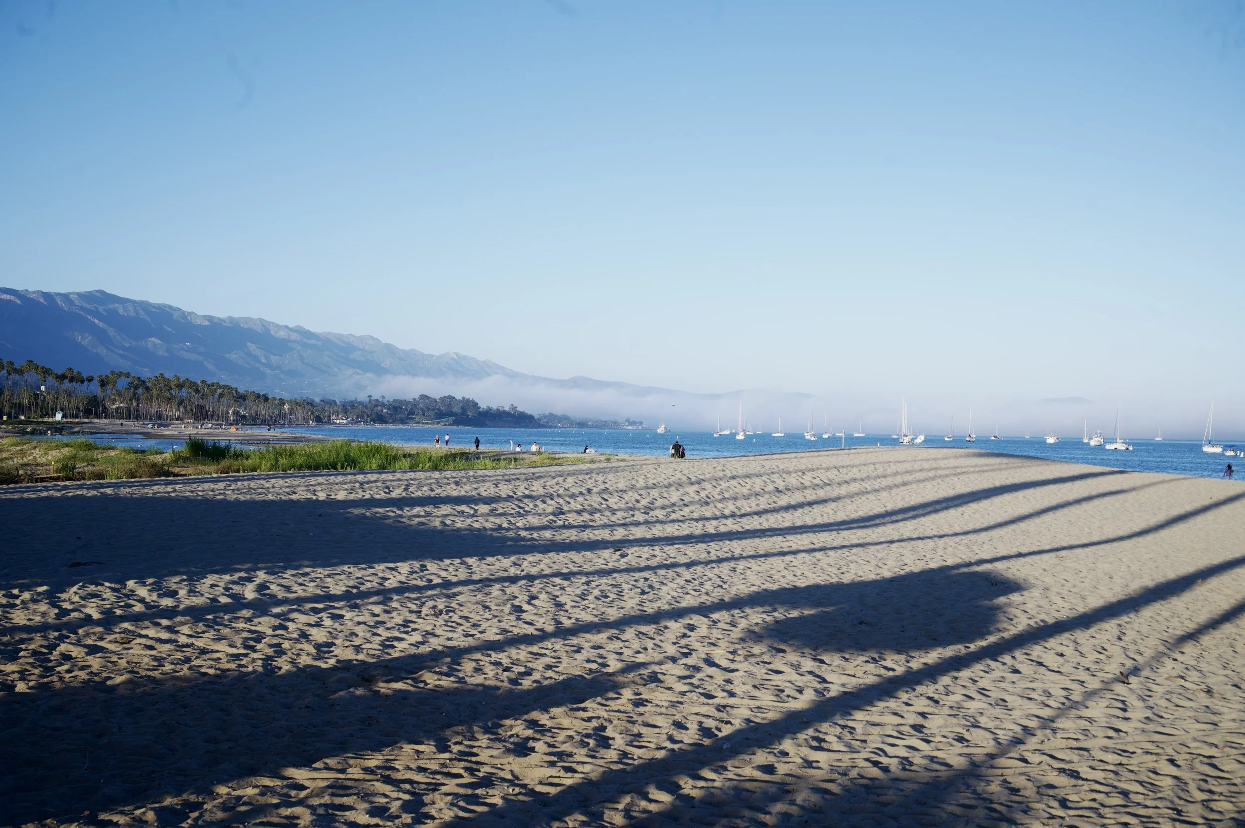 _DSC8196.jpeg