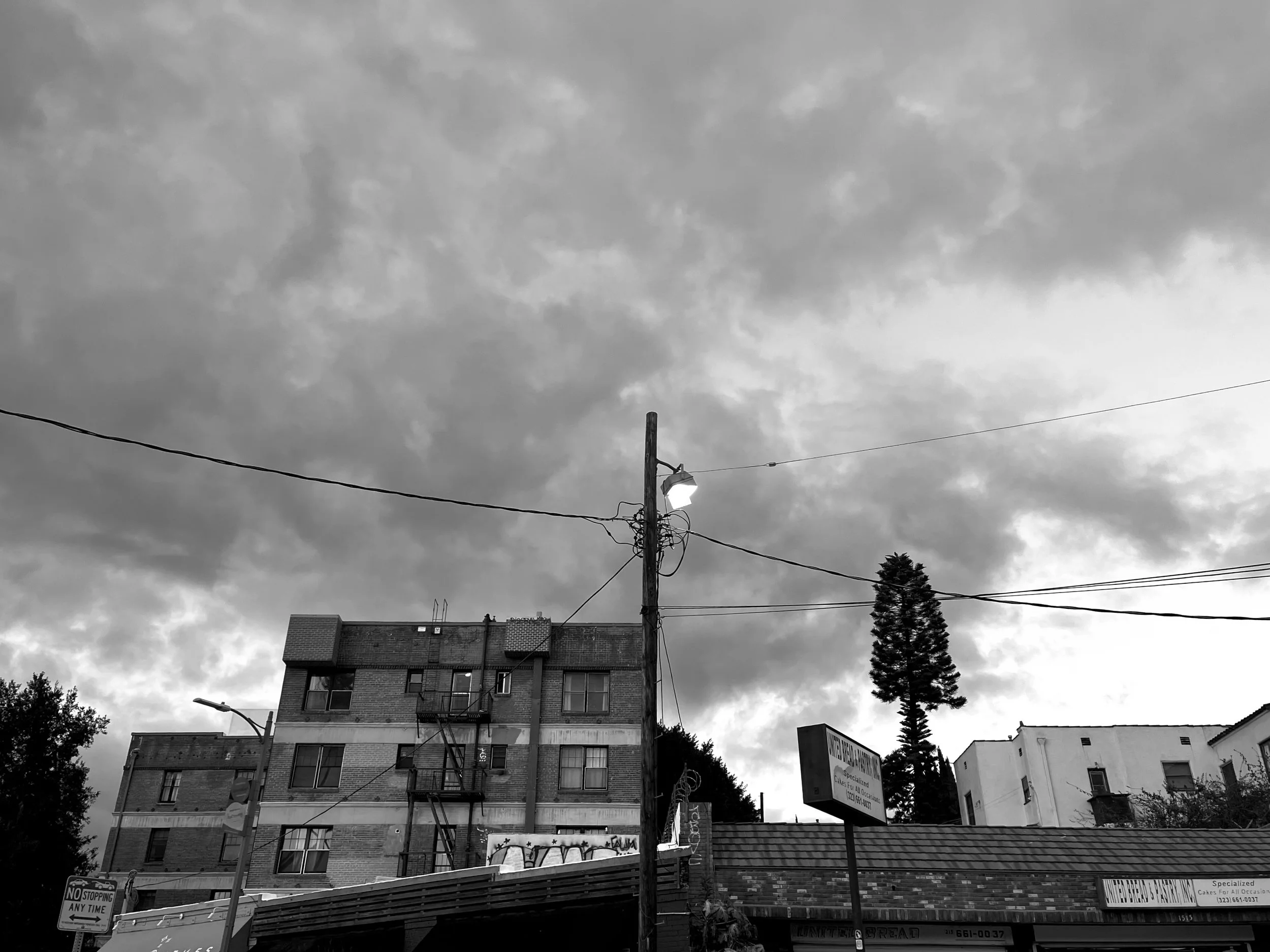 IMG_1187.jpeg
