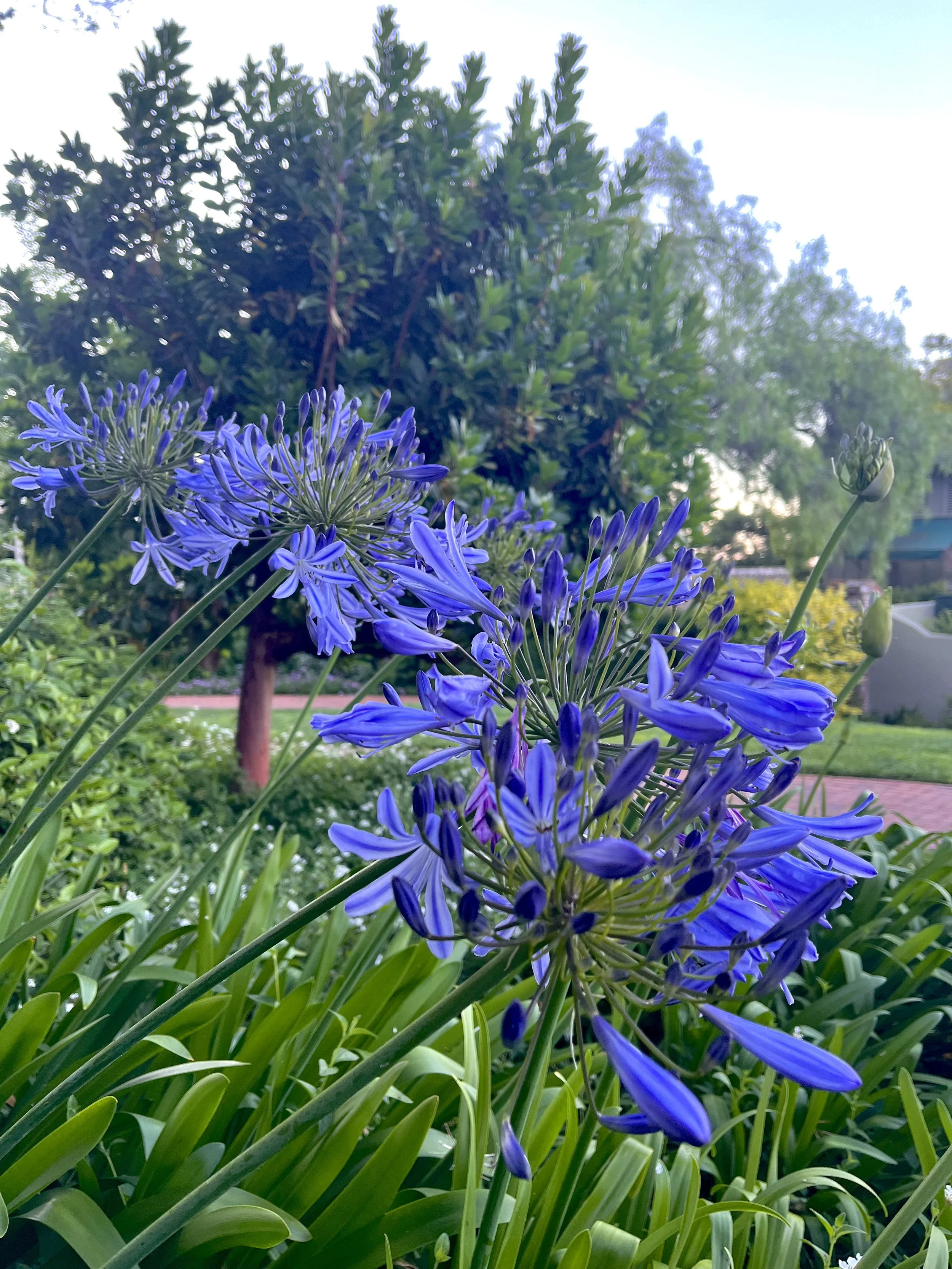 IMG_7941.jpeg