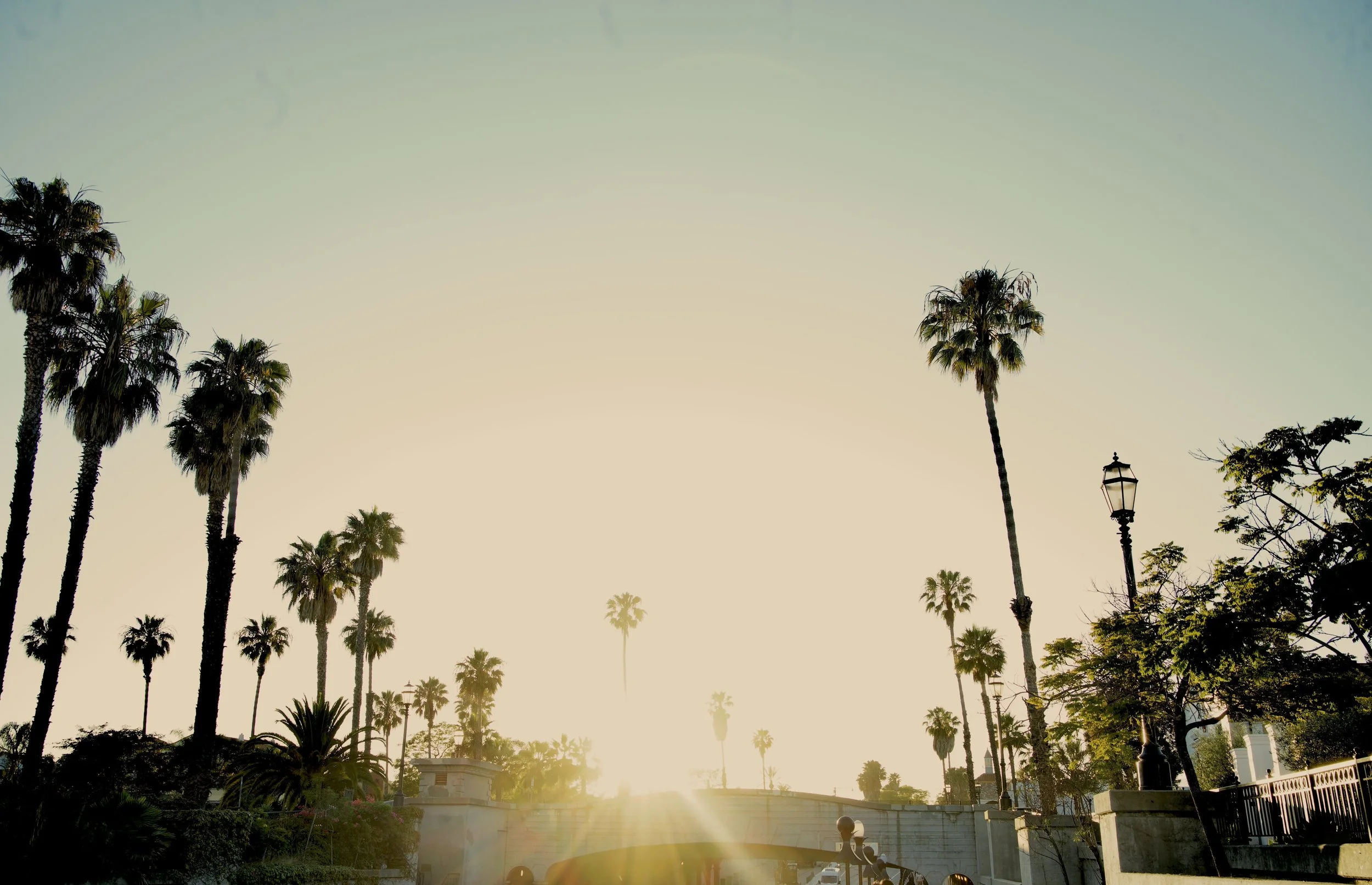 _DSC8246.jpeg