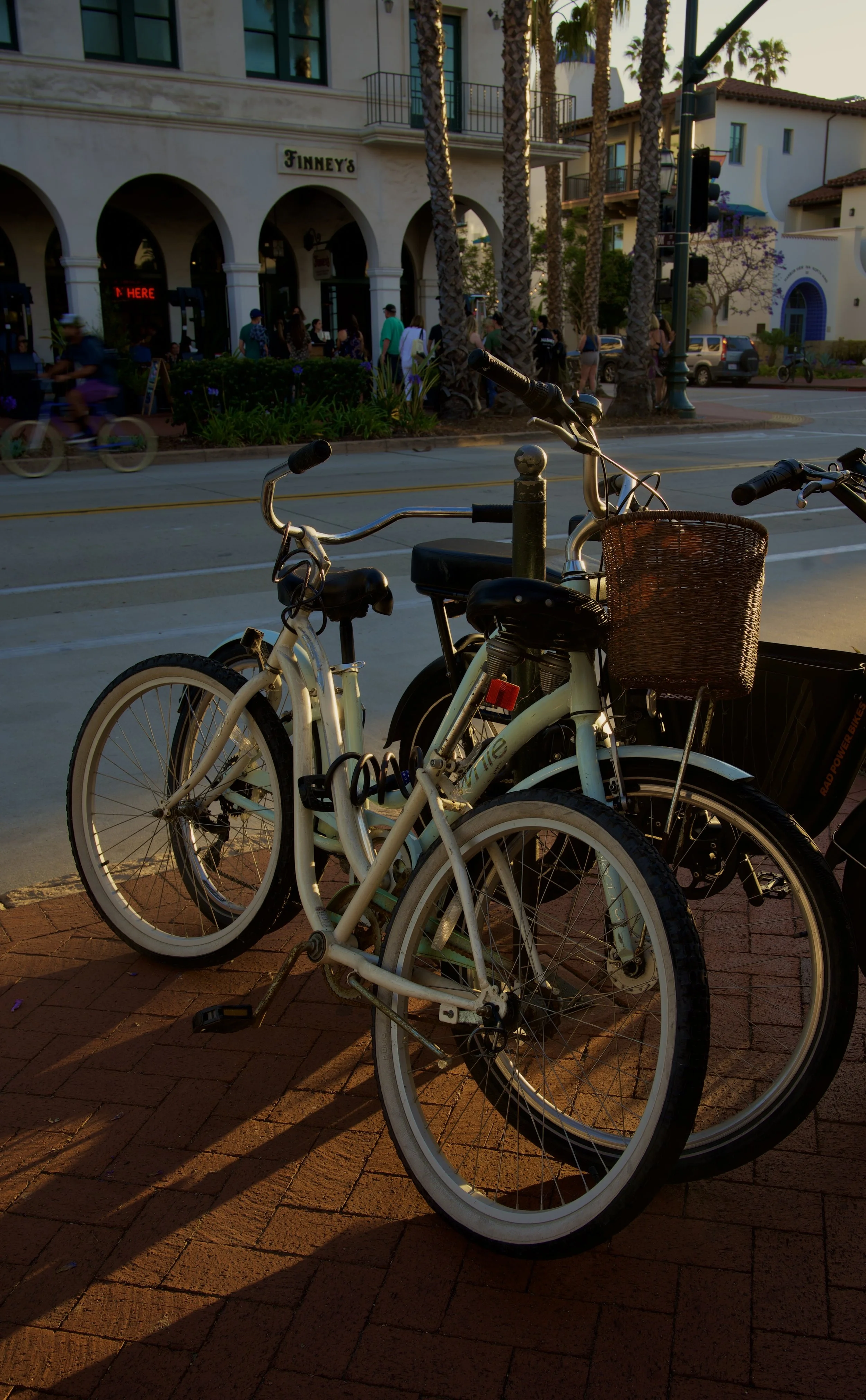 _DSC8224.jpeg