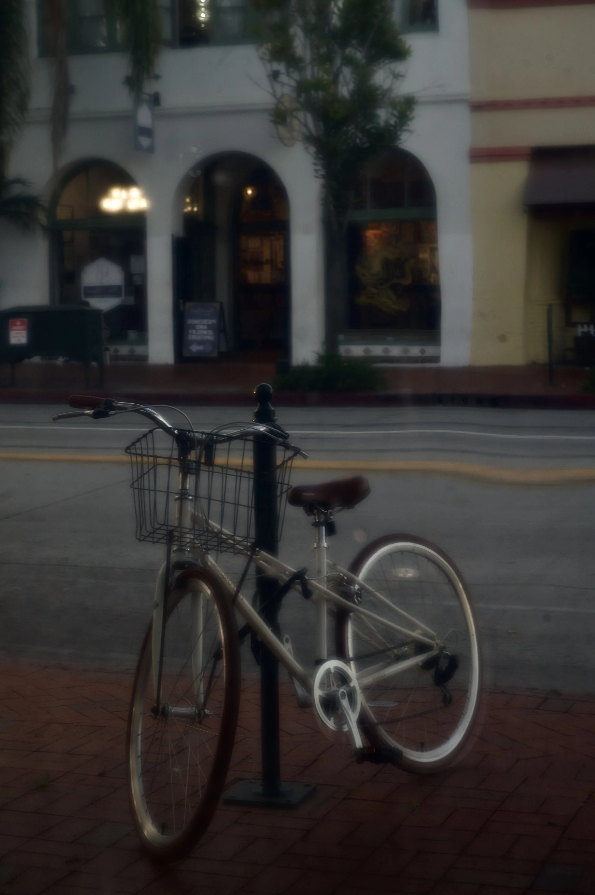 _DSC8268.jpeg