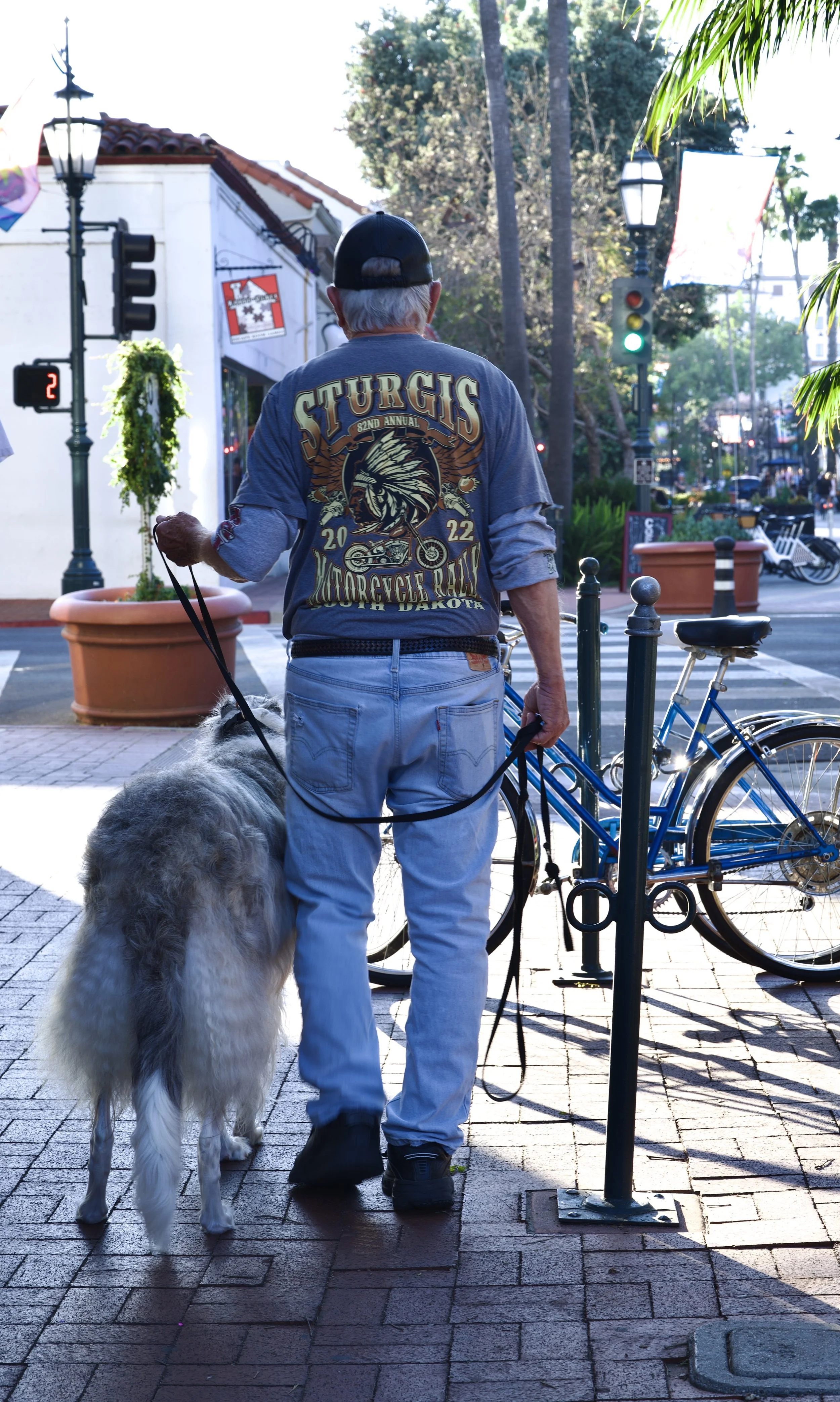 _DSC8109.jpeg