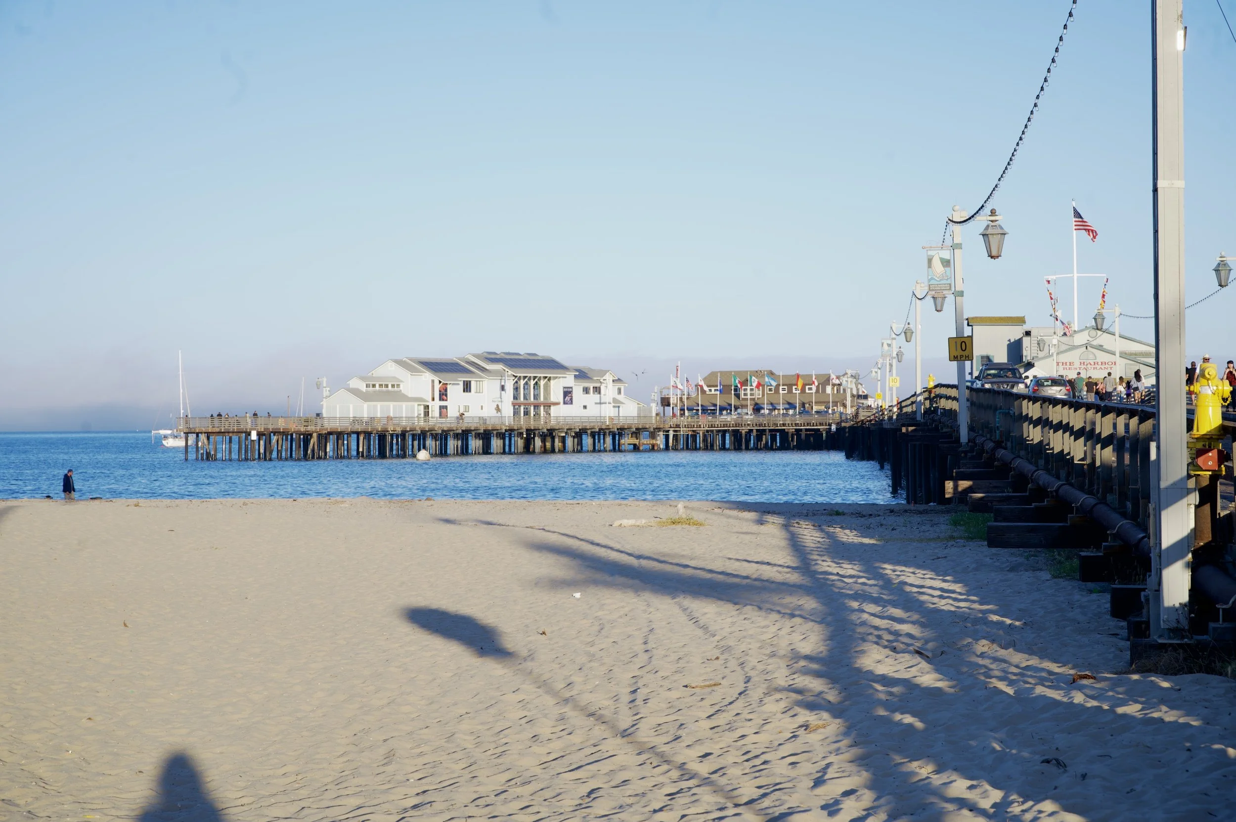 _DSC8197.jpeg
