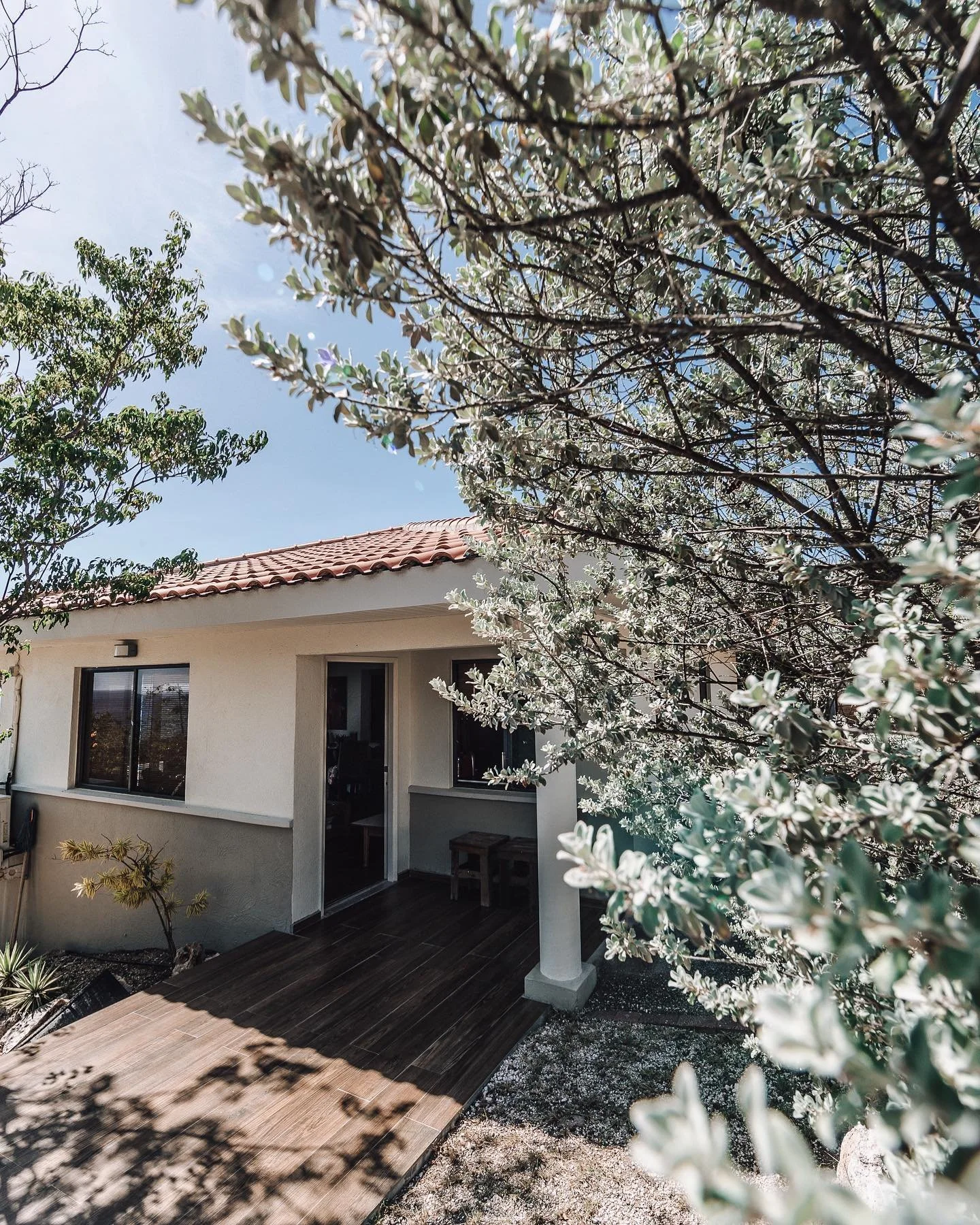 Just saying hi! ✨ #CasaCuracao #KORAL