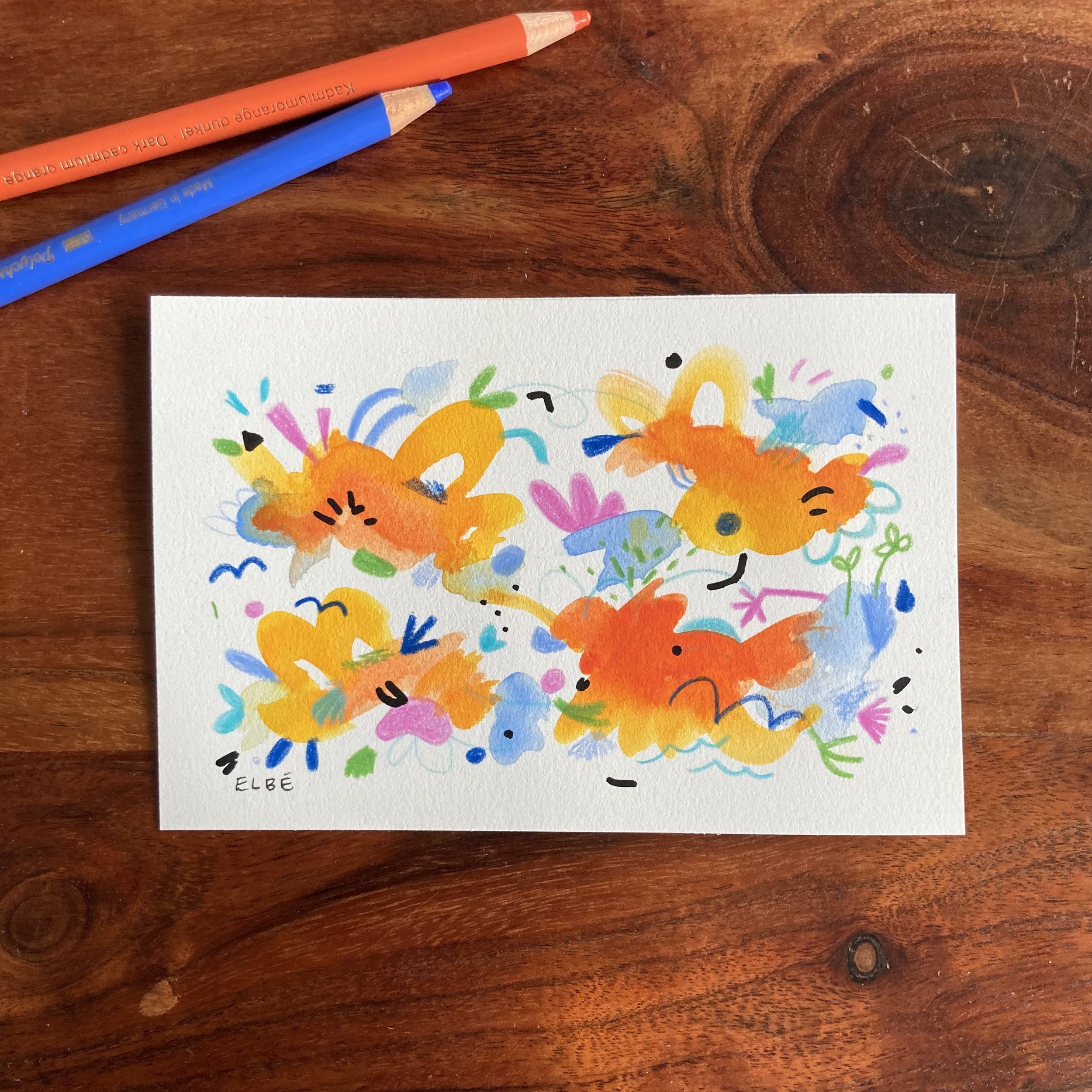 Minis écosystèmes